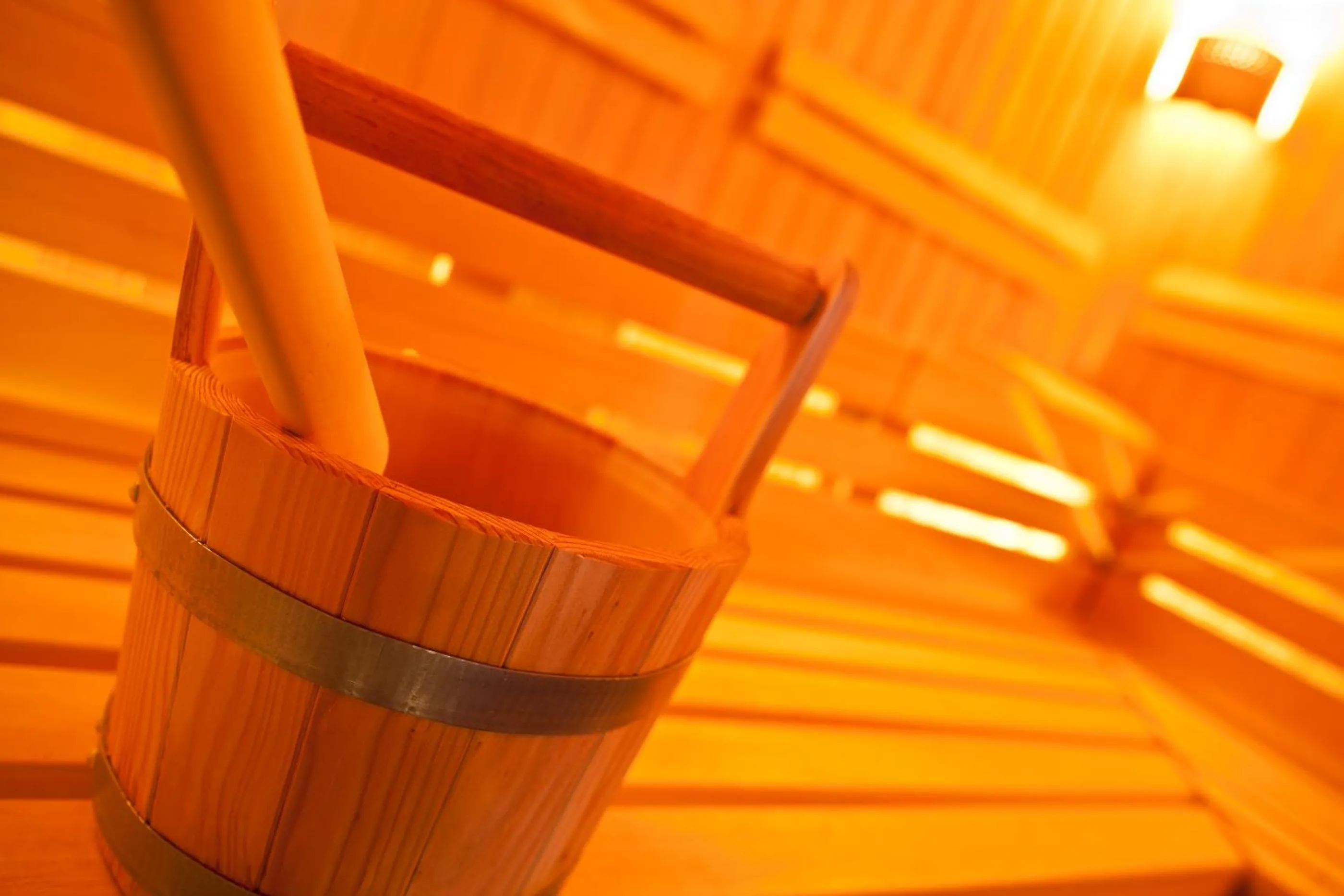 Sauna in Hotel Falken