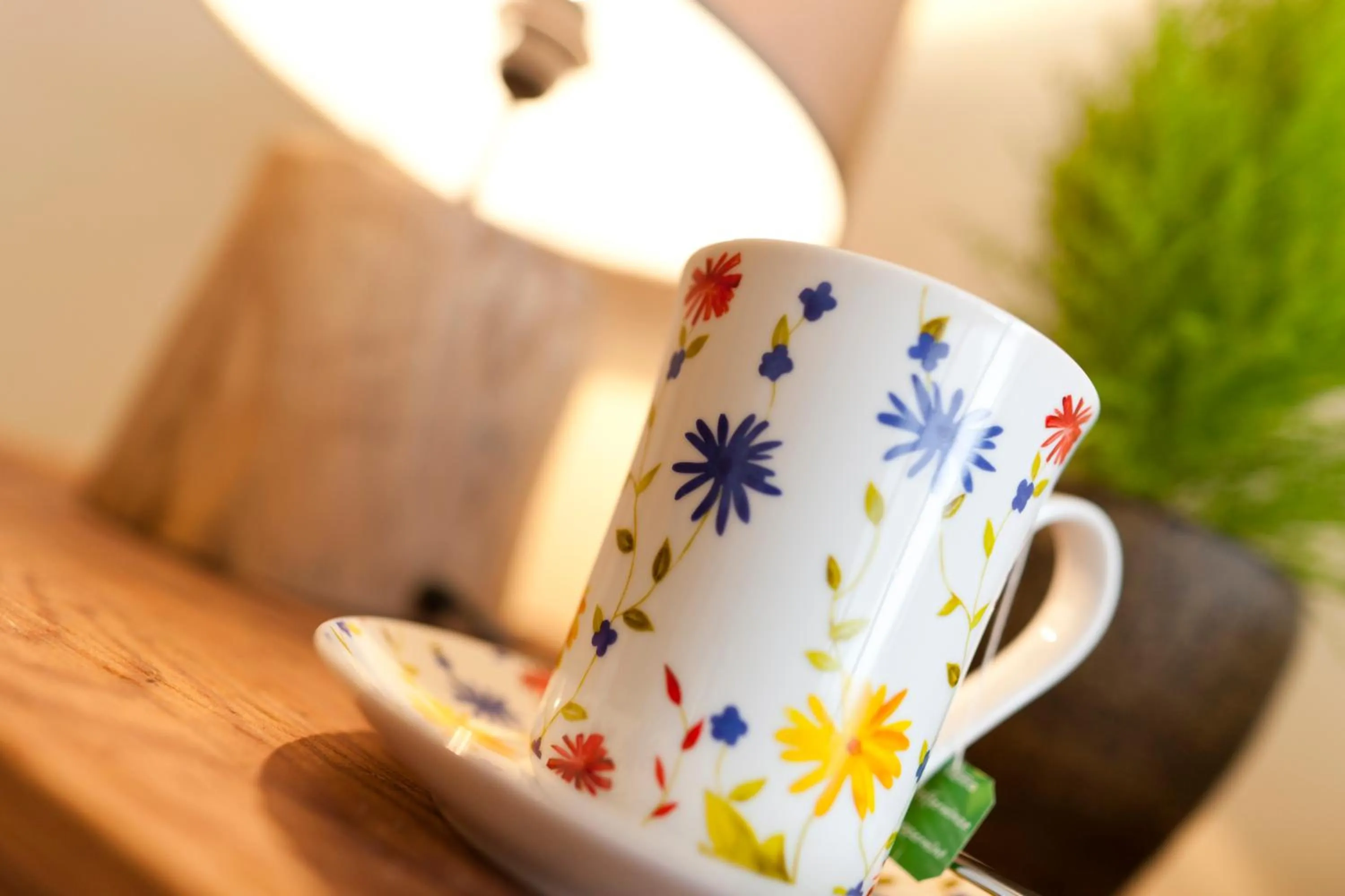 Spa and wellness centre/facilities in Hotel Falken