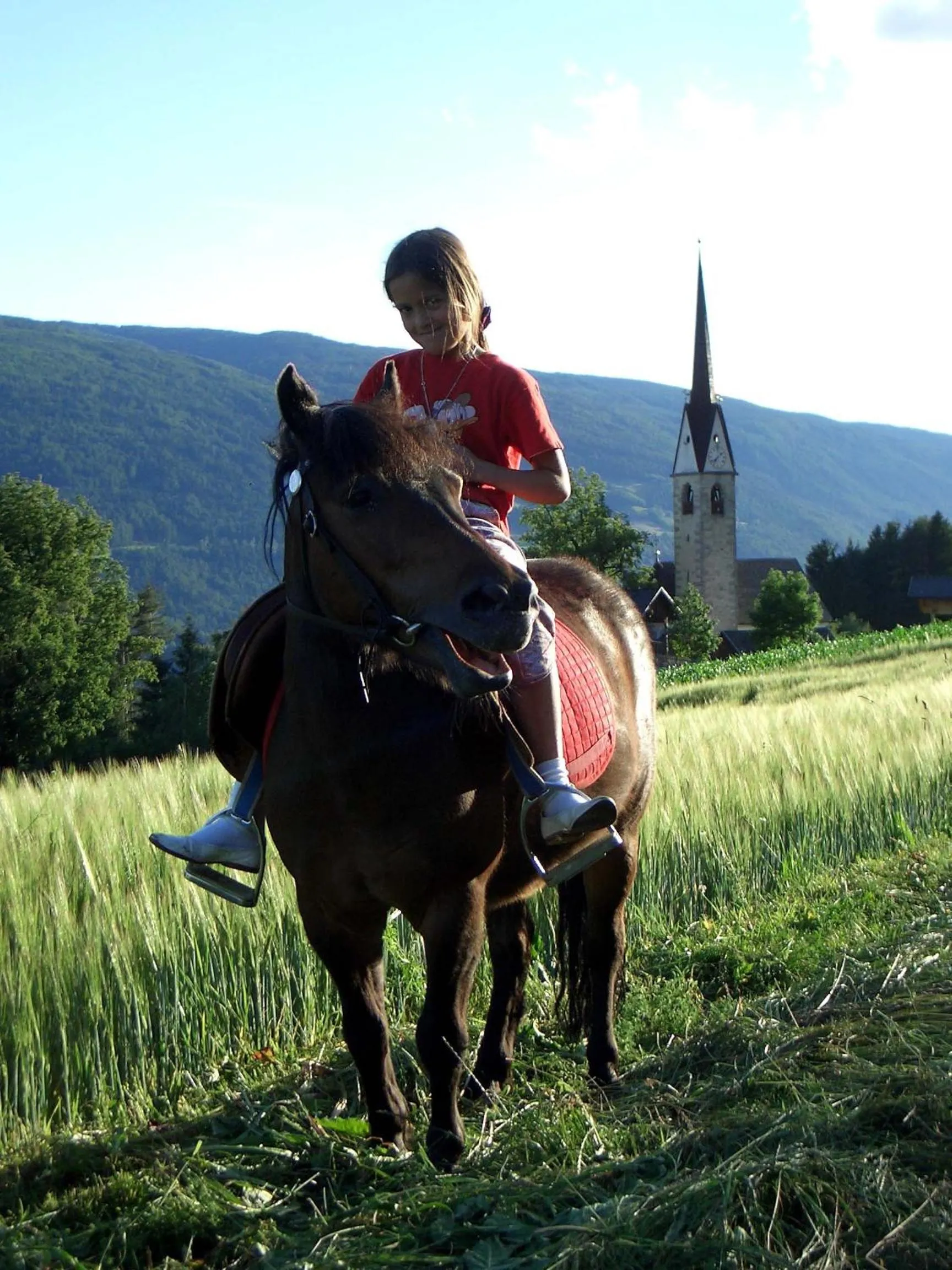 Horse-riding in Hotel Falken