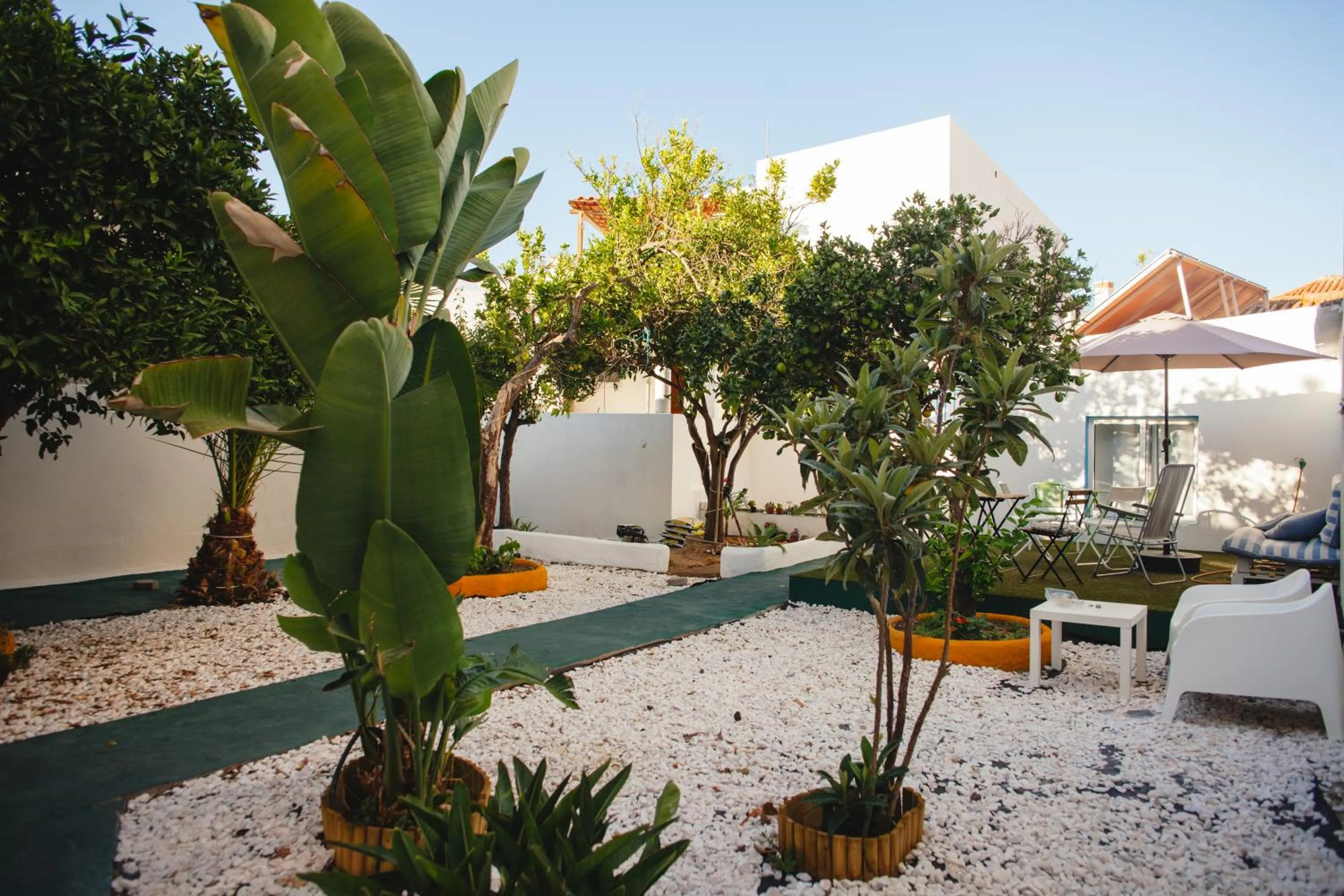 Garden in Orange3 Hostel