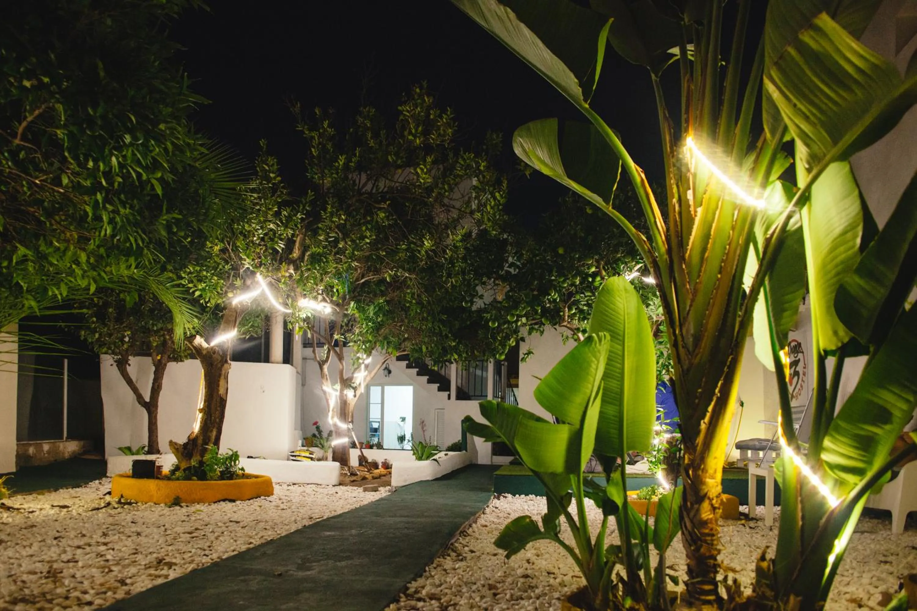 Garden in Orange3 Hostel