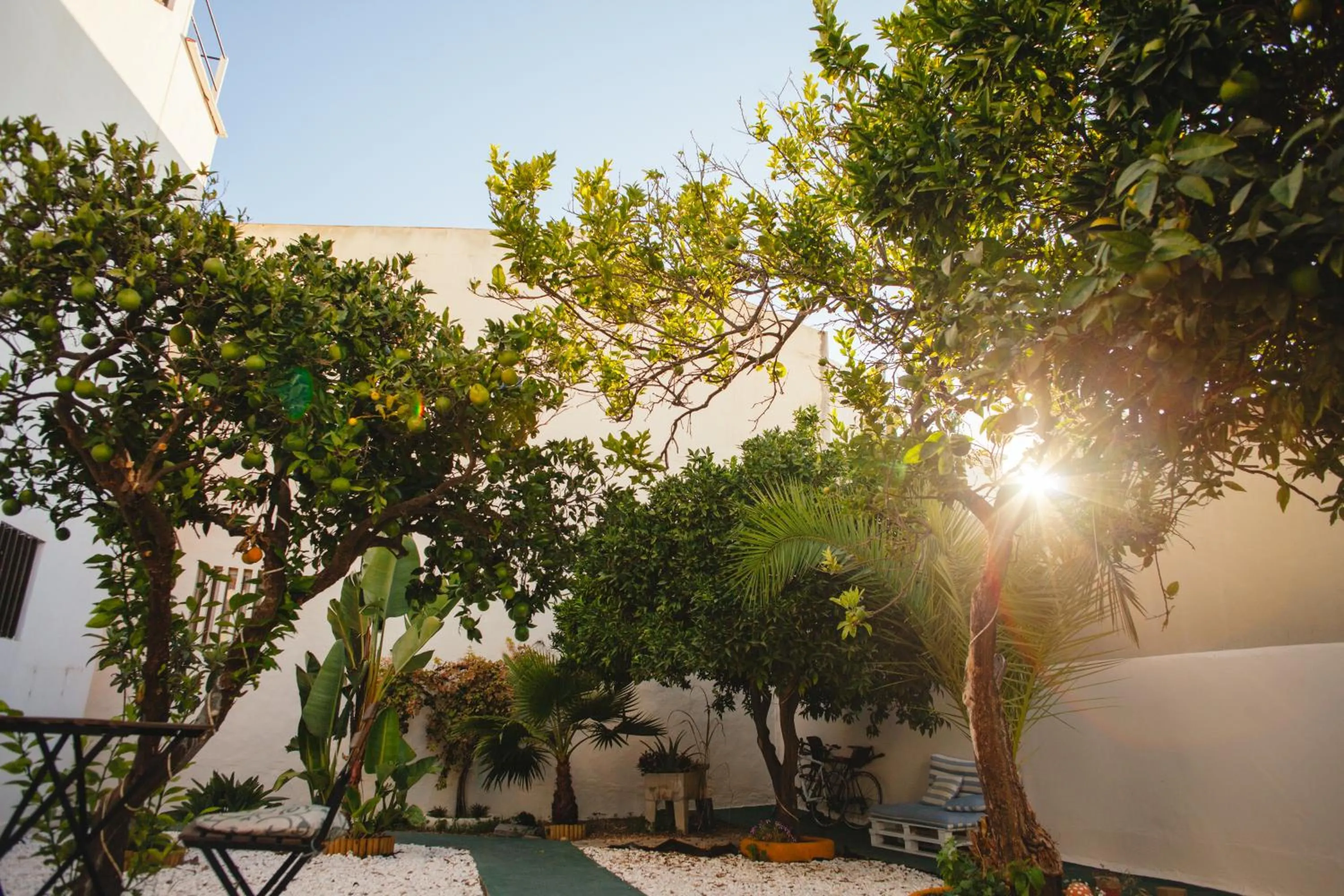 Garden in Orange3 Hostel