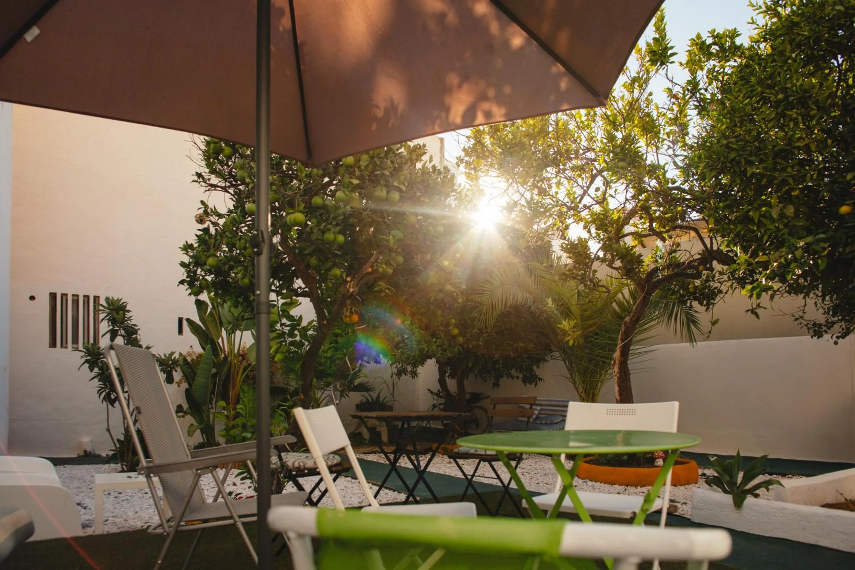 Garden in Orange3 Hostel