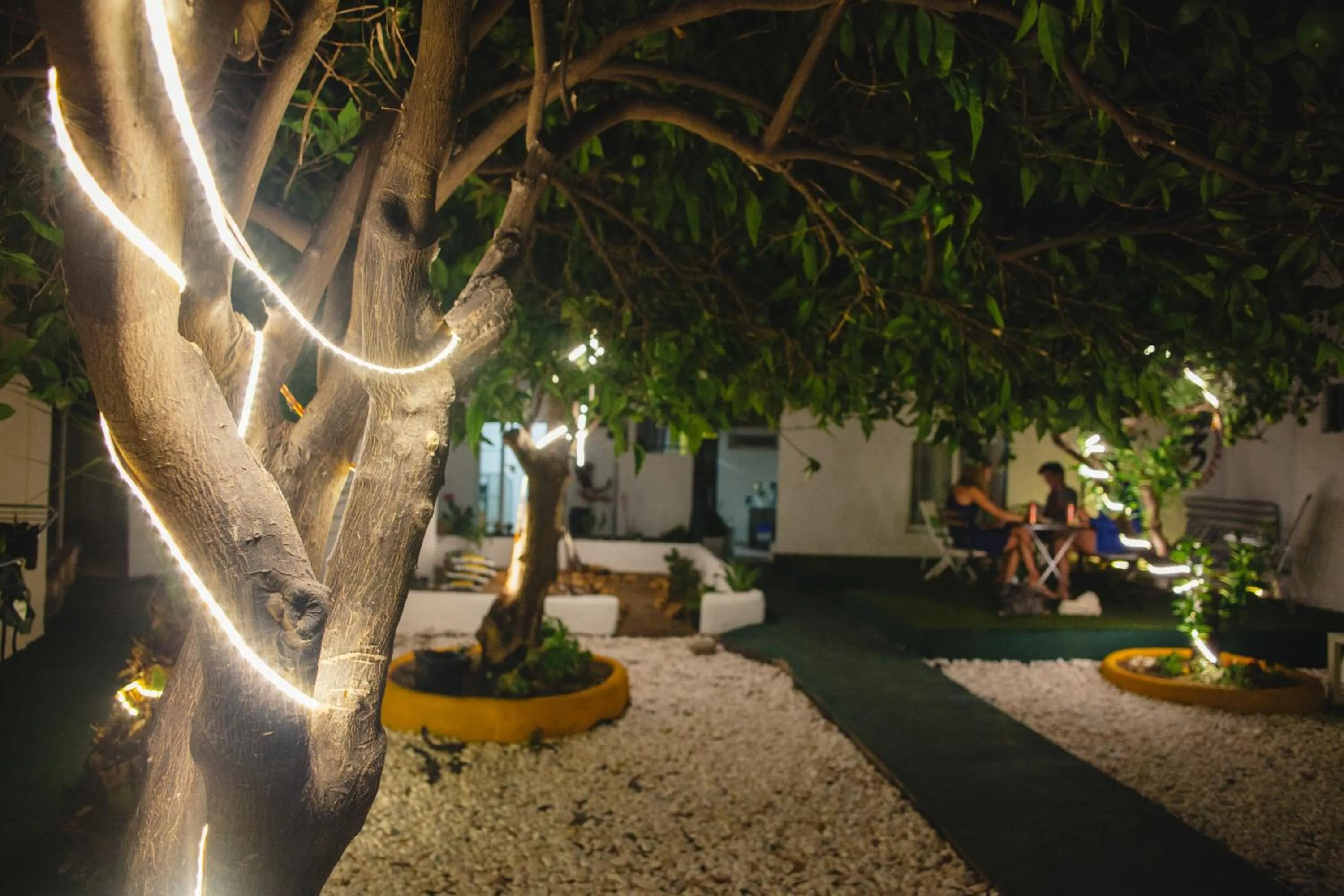 Garden in Orange3 Hostel