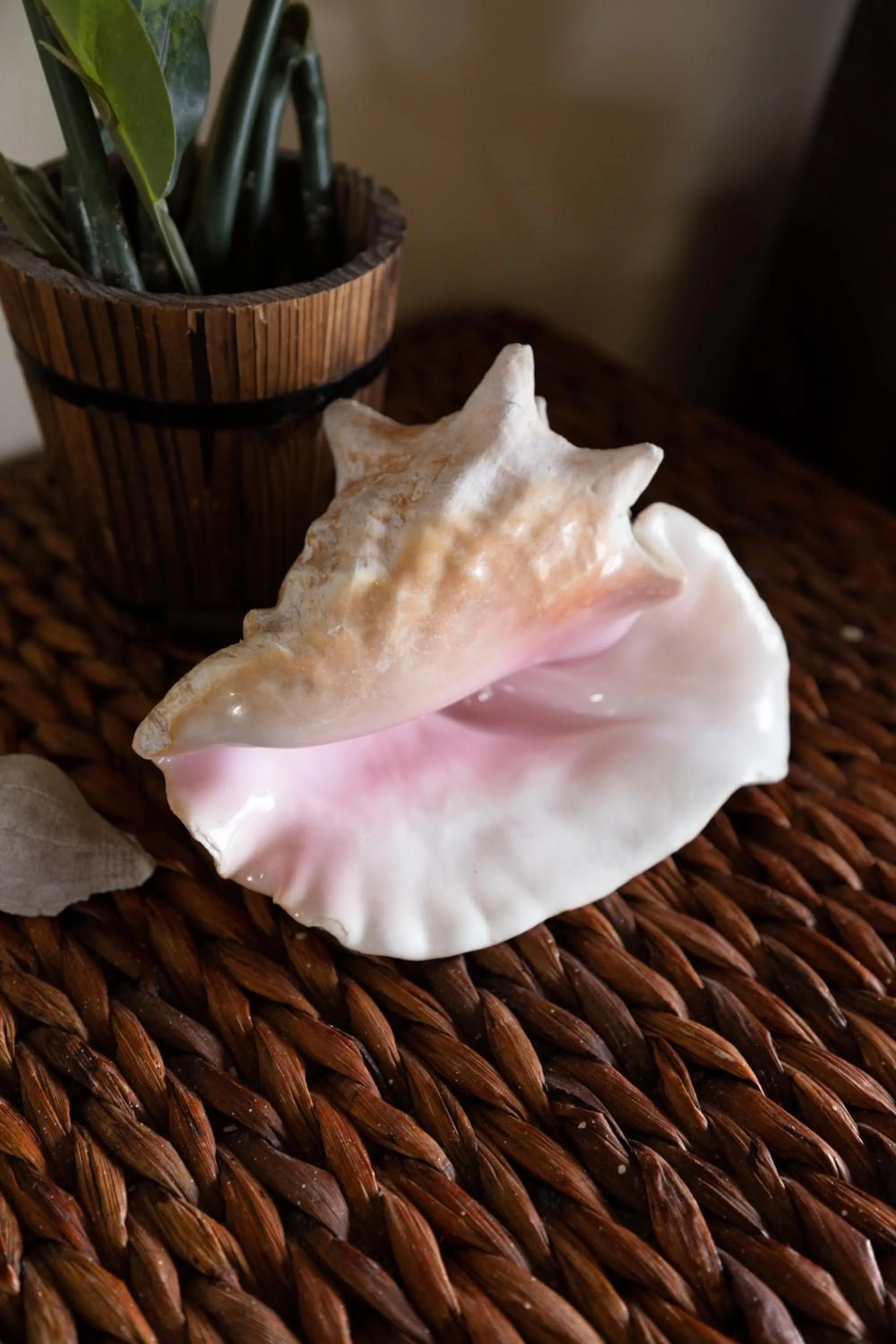 Decorative detail in Lina Point Belize Overwater Resort