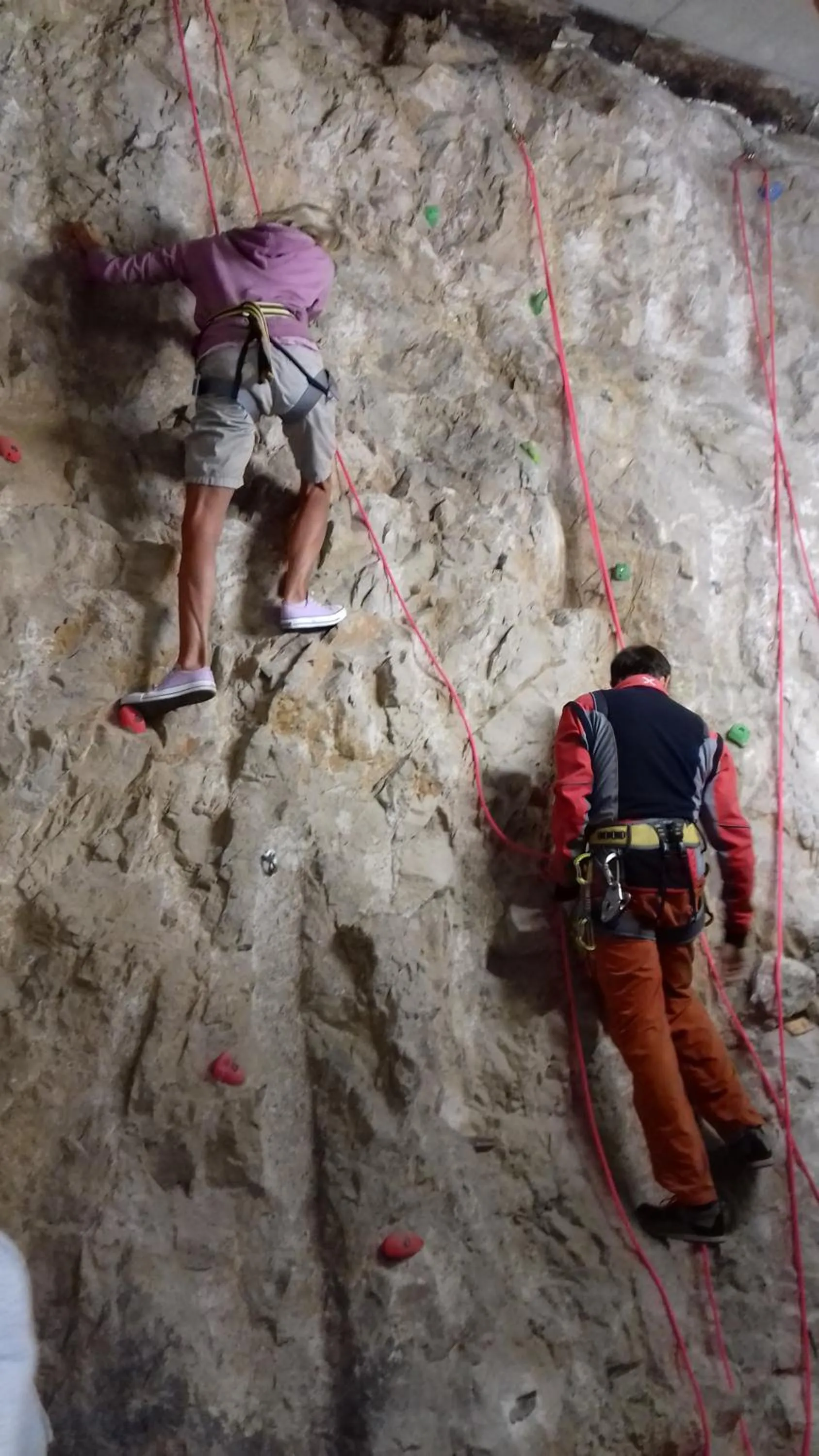 Activities in Hotel Monte Bondone