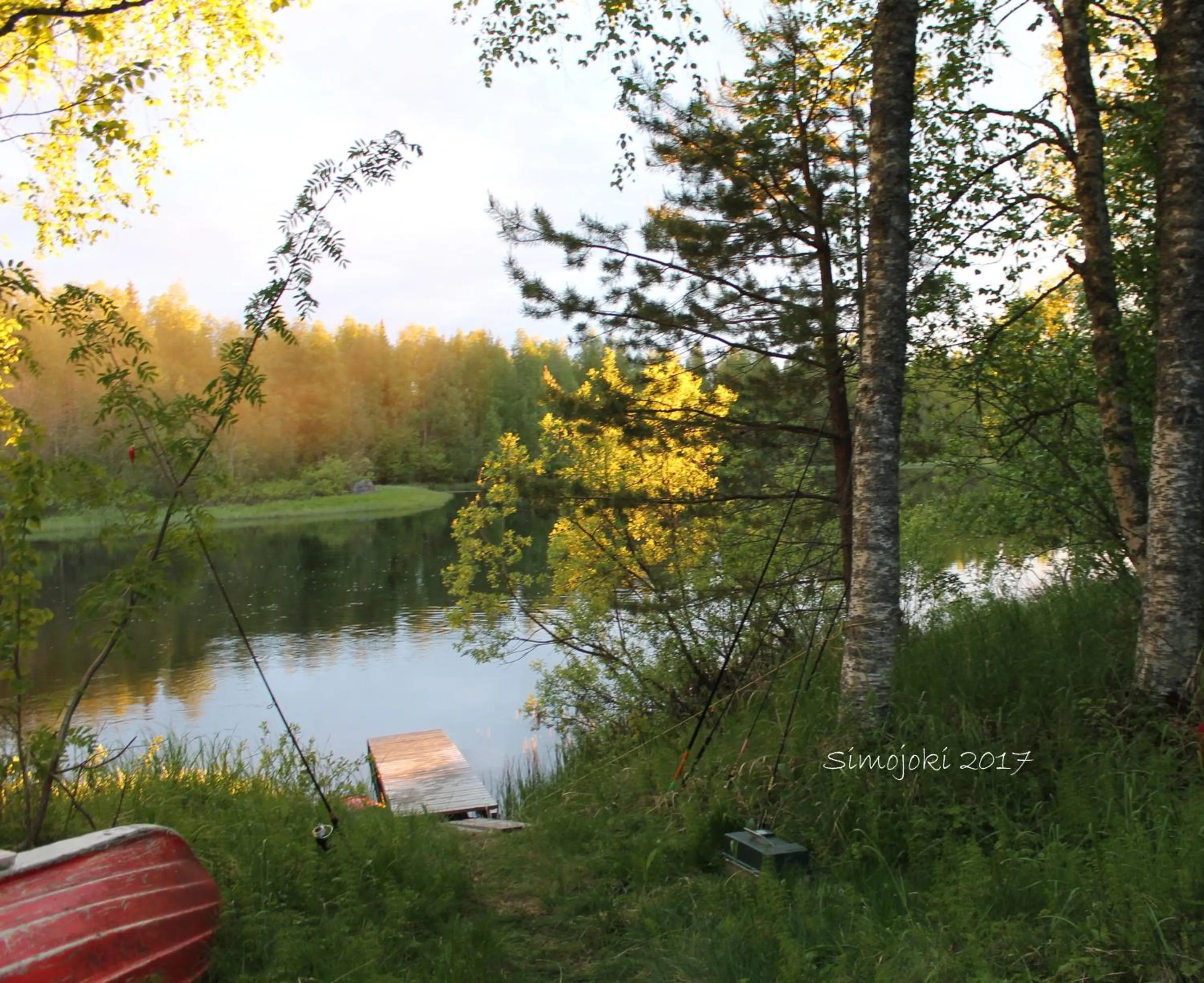 Summer in Villa Havula