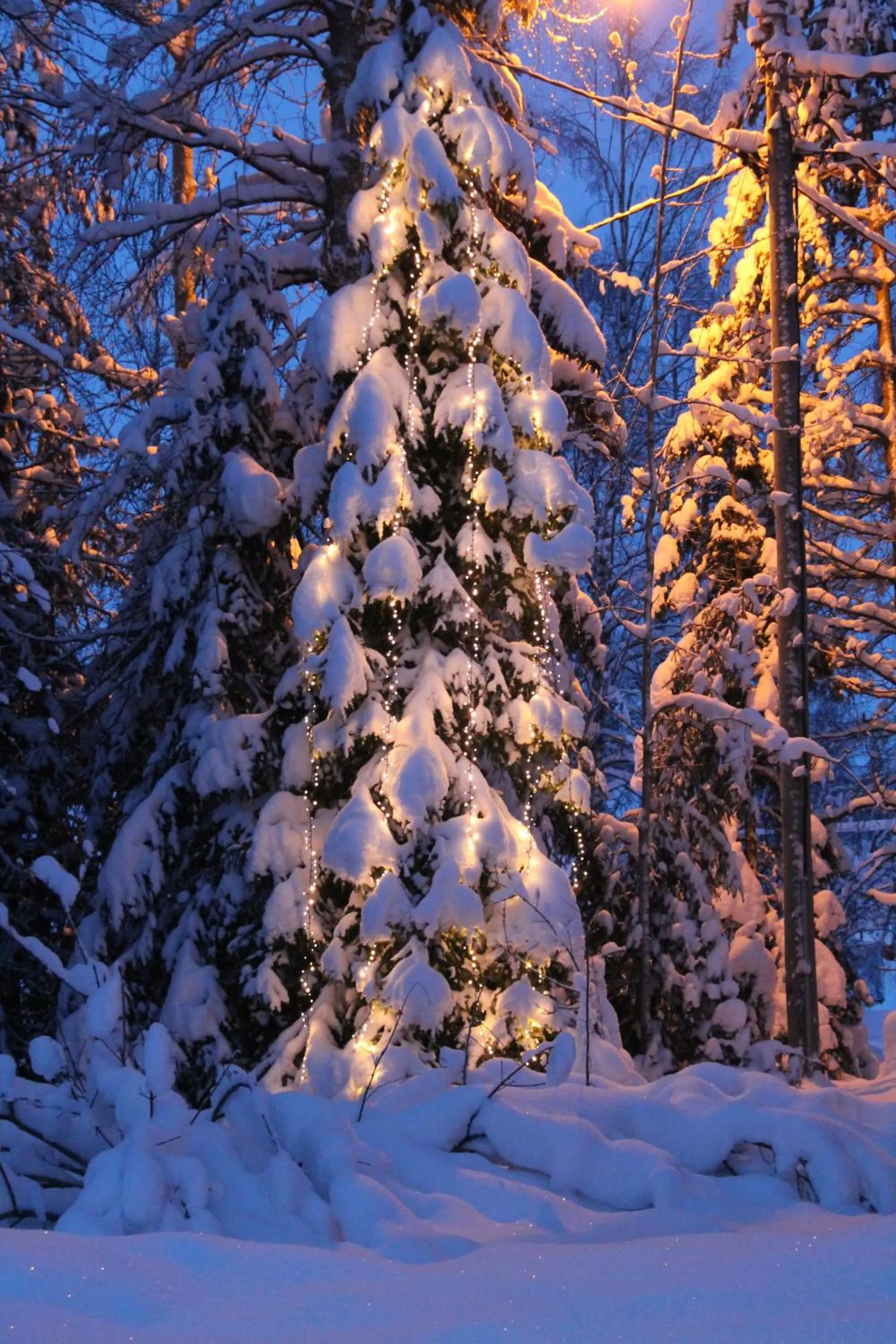 Winter in Villa Havula