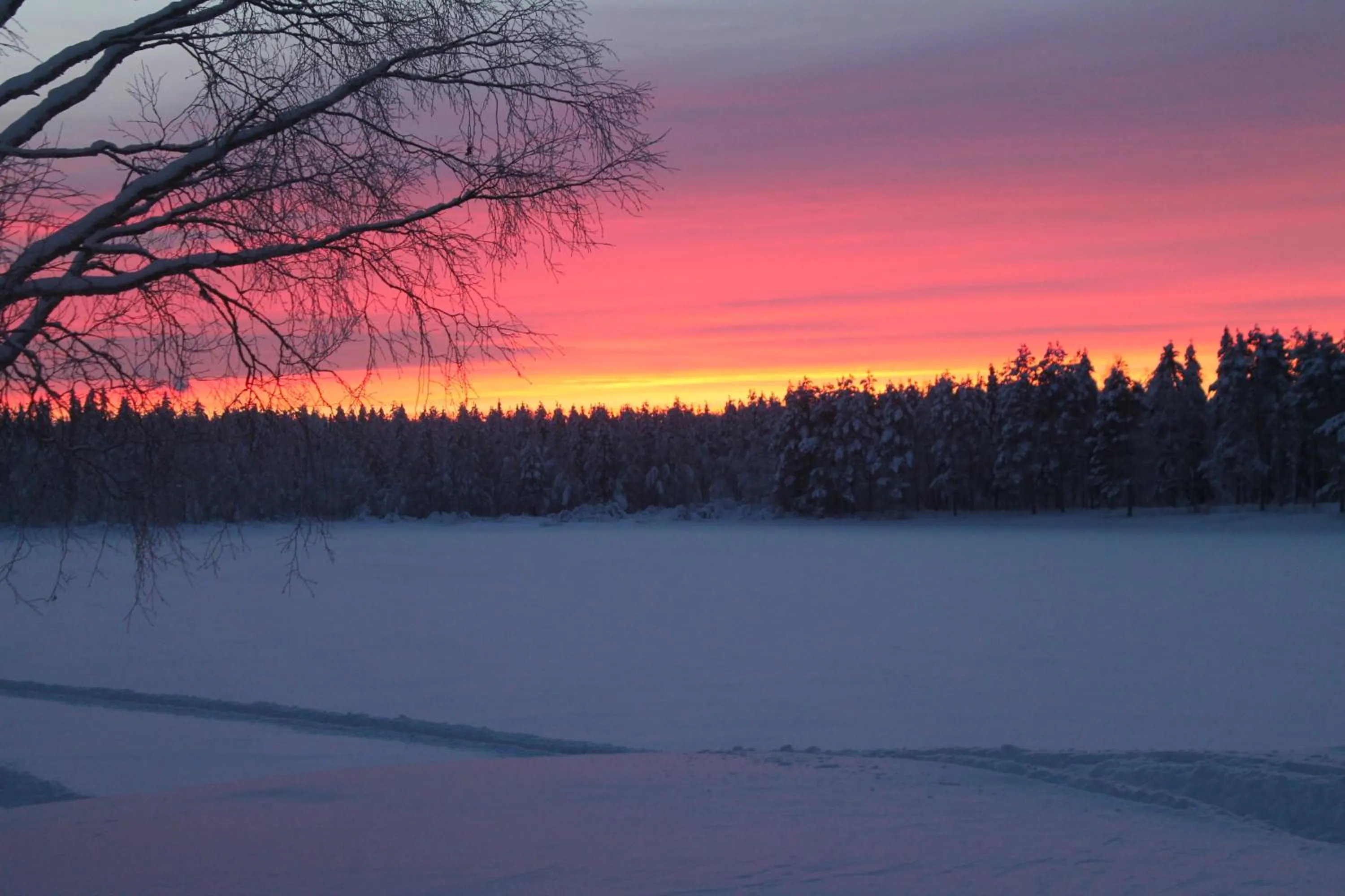 Neighbourhood in Villa Havula