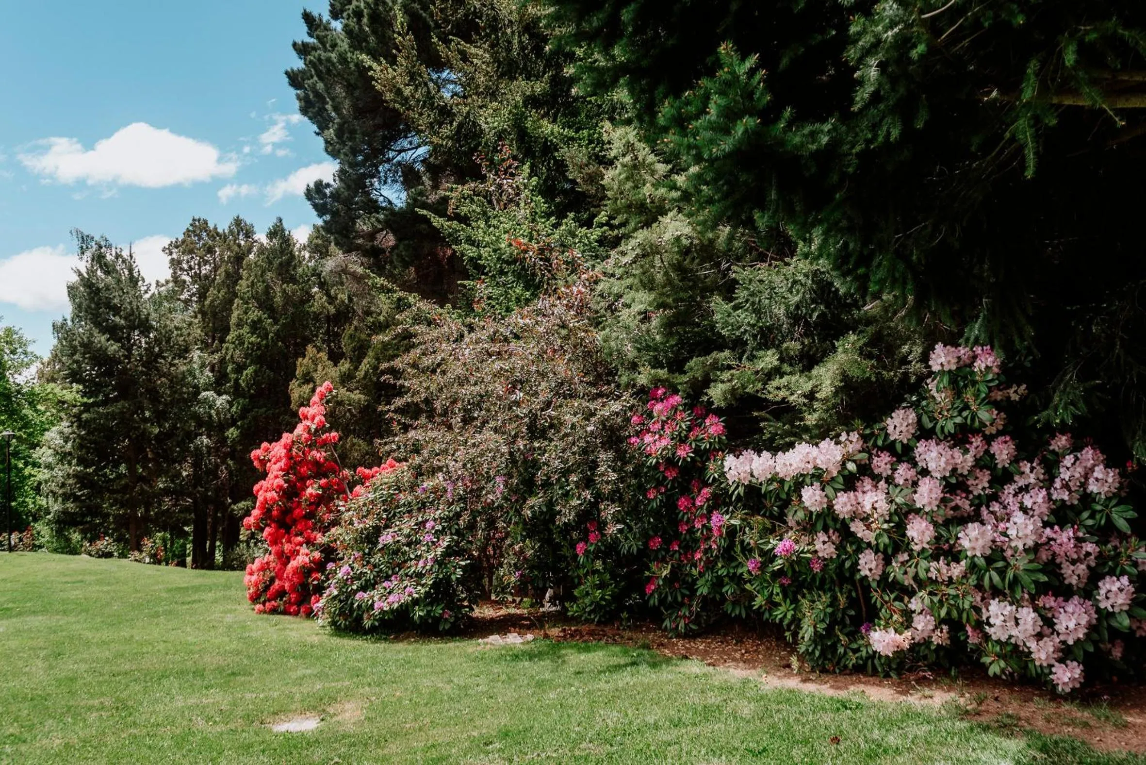 Spring in Basia Hotel & Sushi