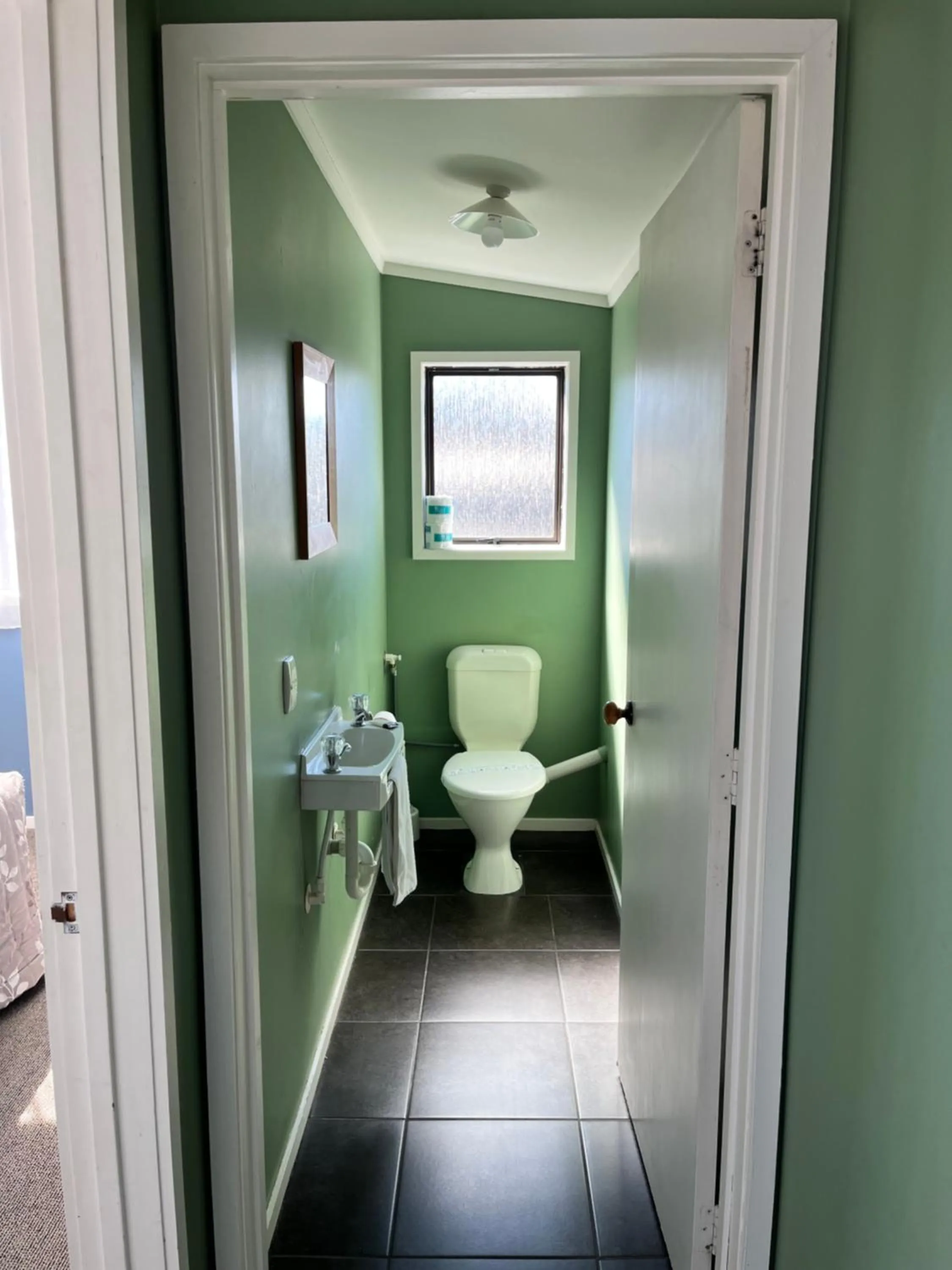 Toilet in Alpine Motel