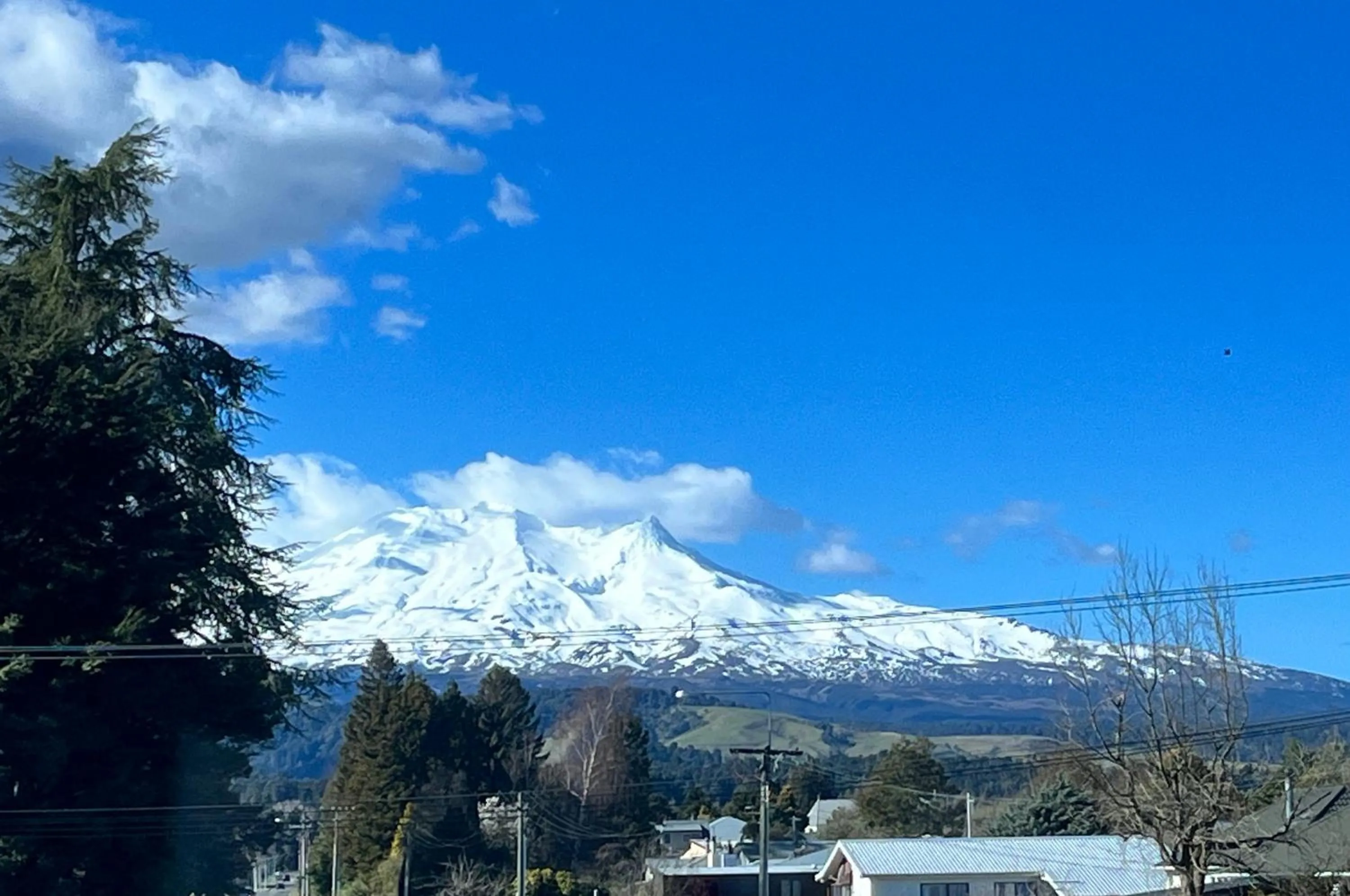 View (from property/room) in Alpine Motel