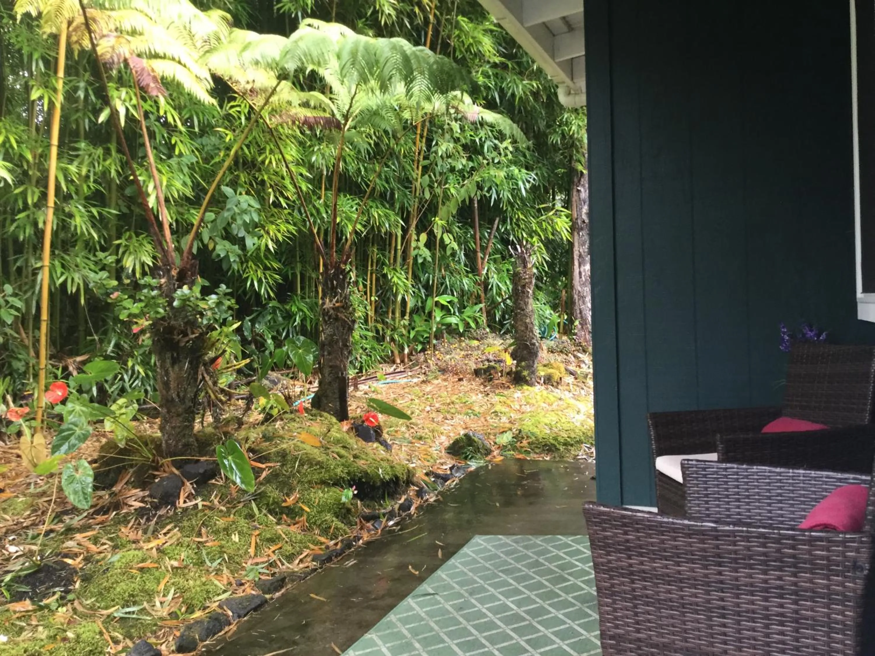 Patio in Hale 'Ohu Bed & Breakfast