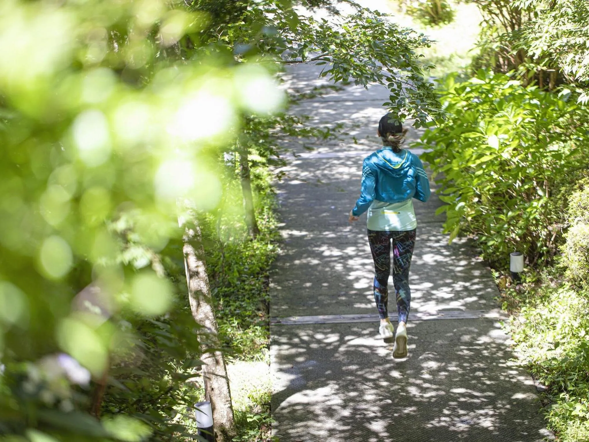 Activities in Hakone Retreat villa 1f