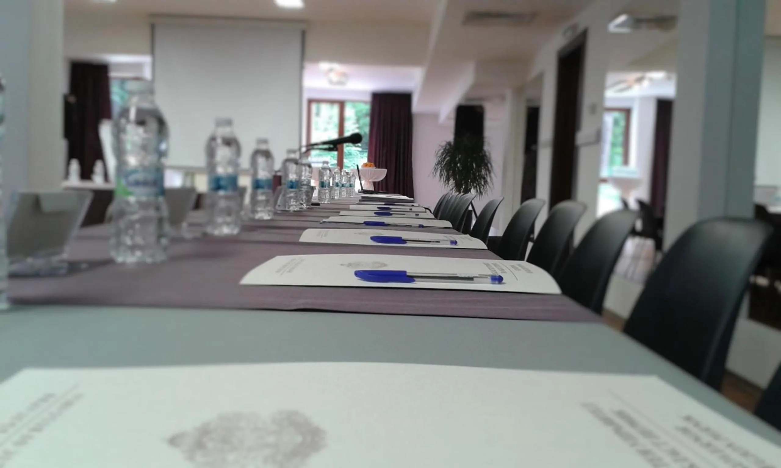 Banquet/Function facilities in Radina's Way Hotel