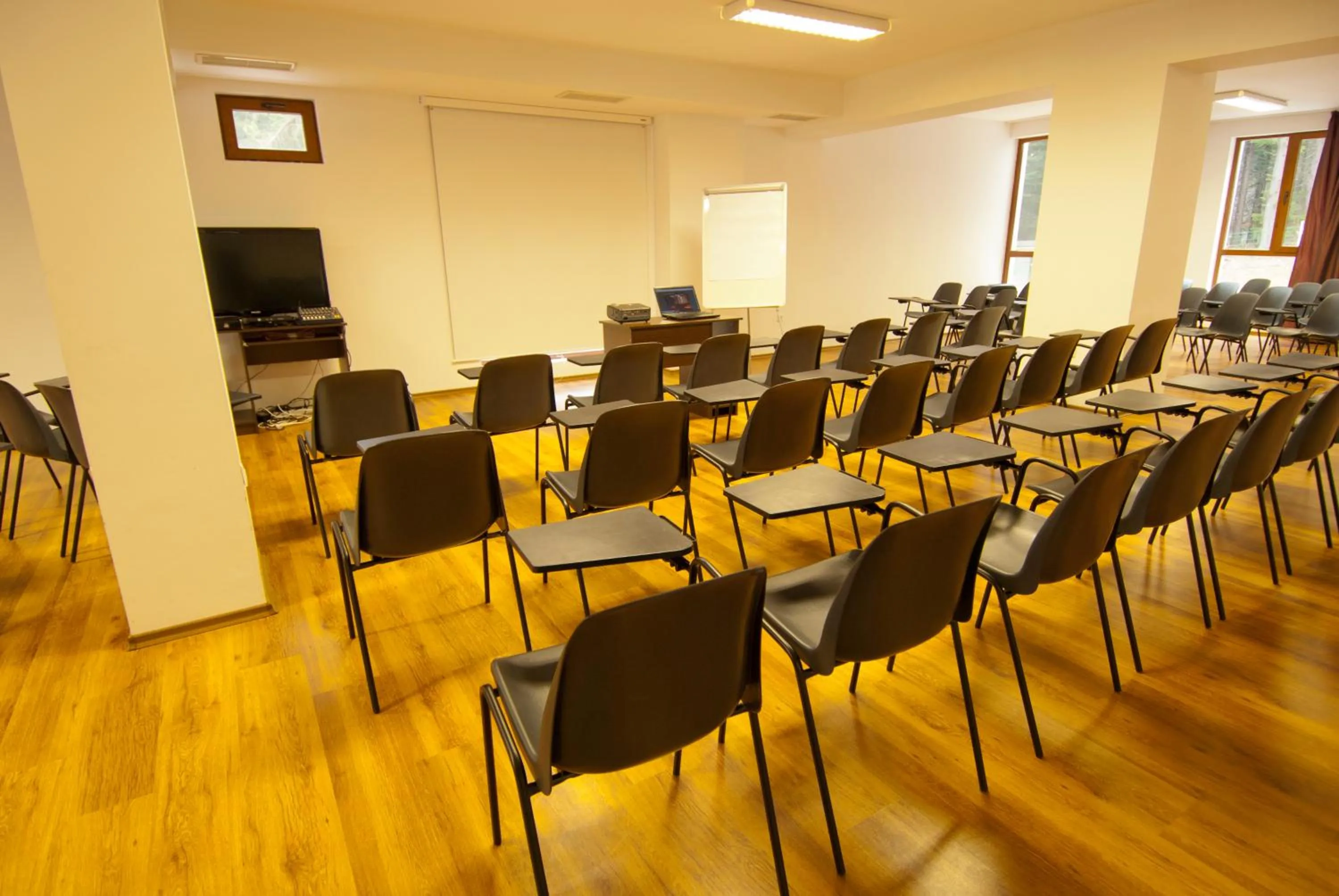 Business facilities in Radina's Way Hotel