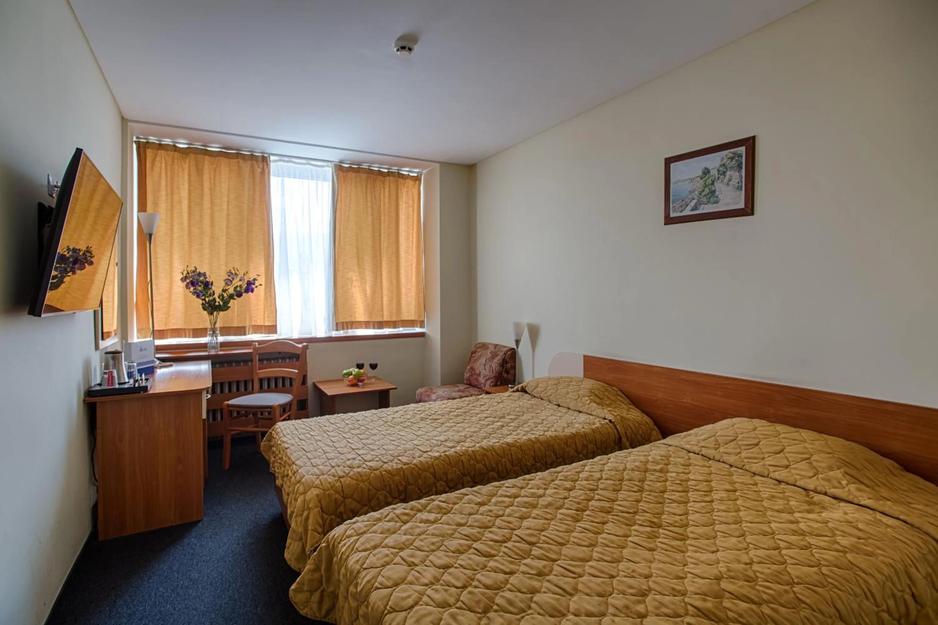 Photo of the whole room, Bed in Hemus Hotel Sofia