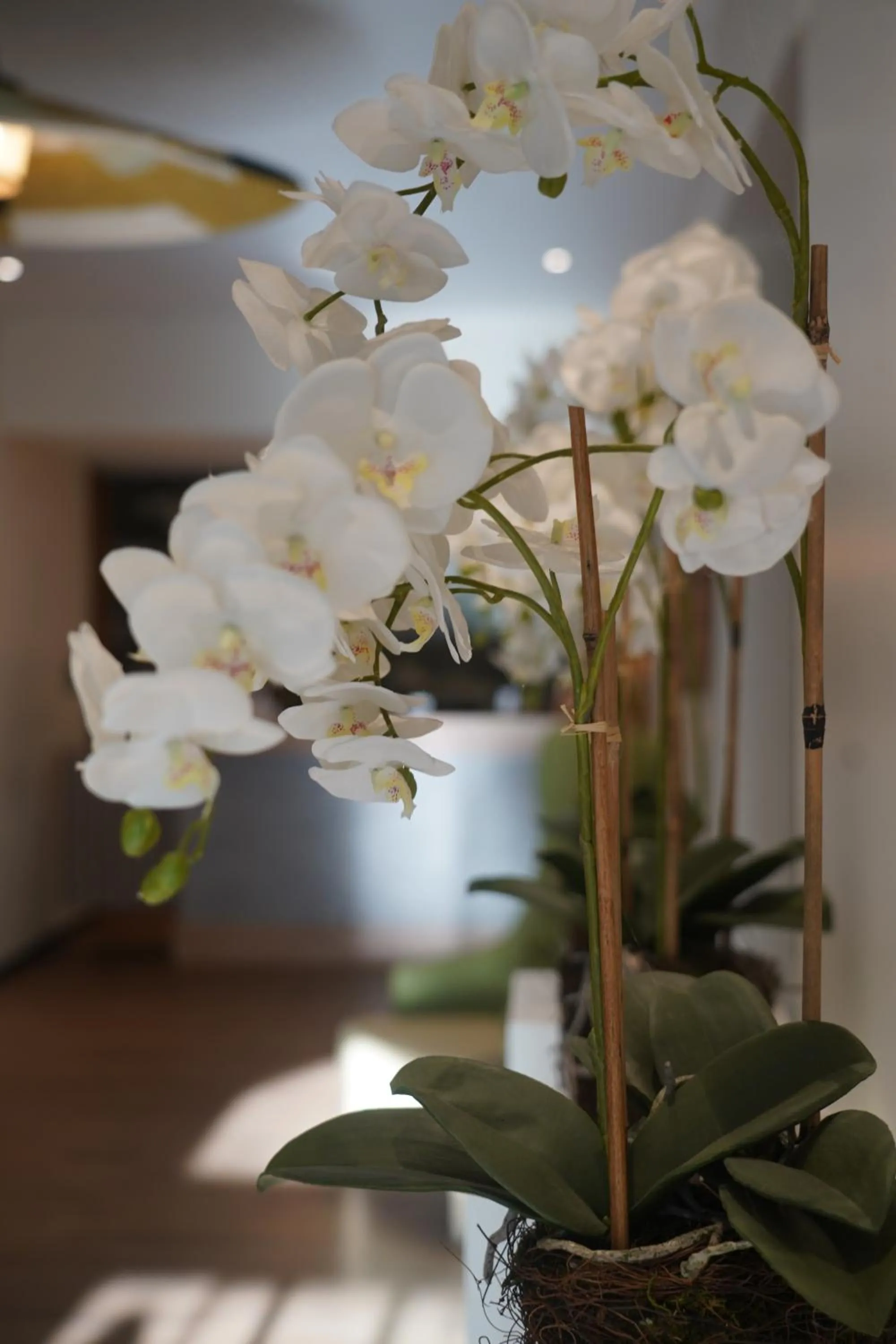 Lobby or reception in Best Western Auray le Loch