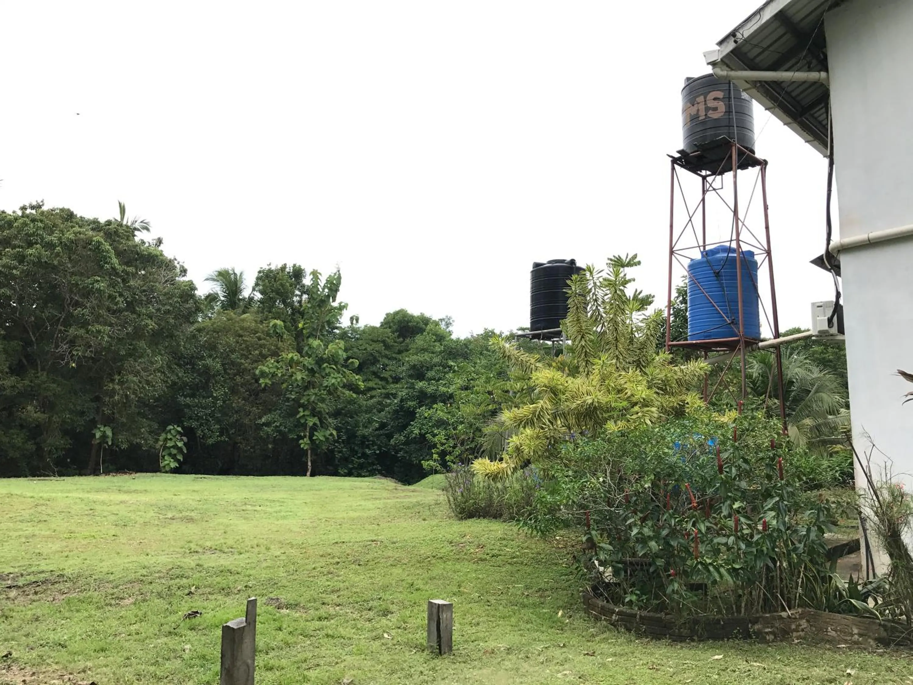 Natural landscape in RTMS Guesthouse Semporna