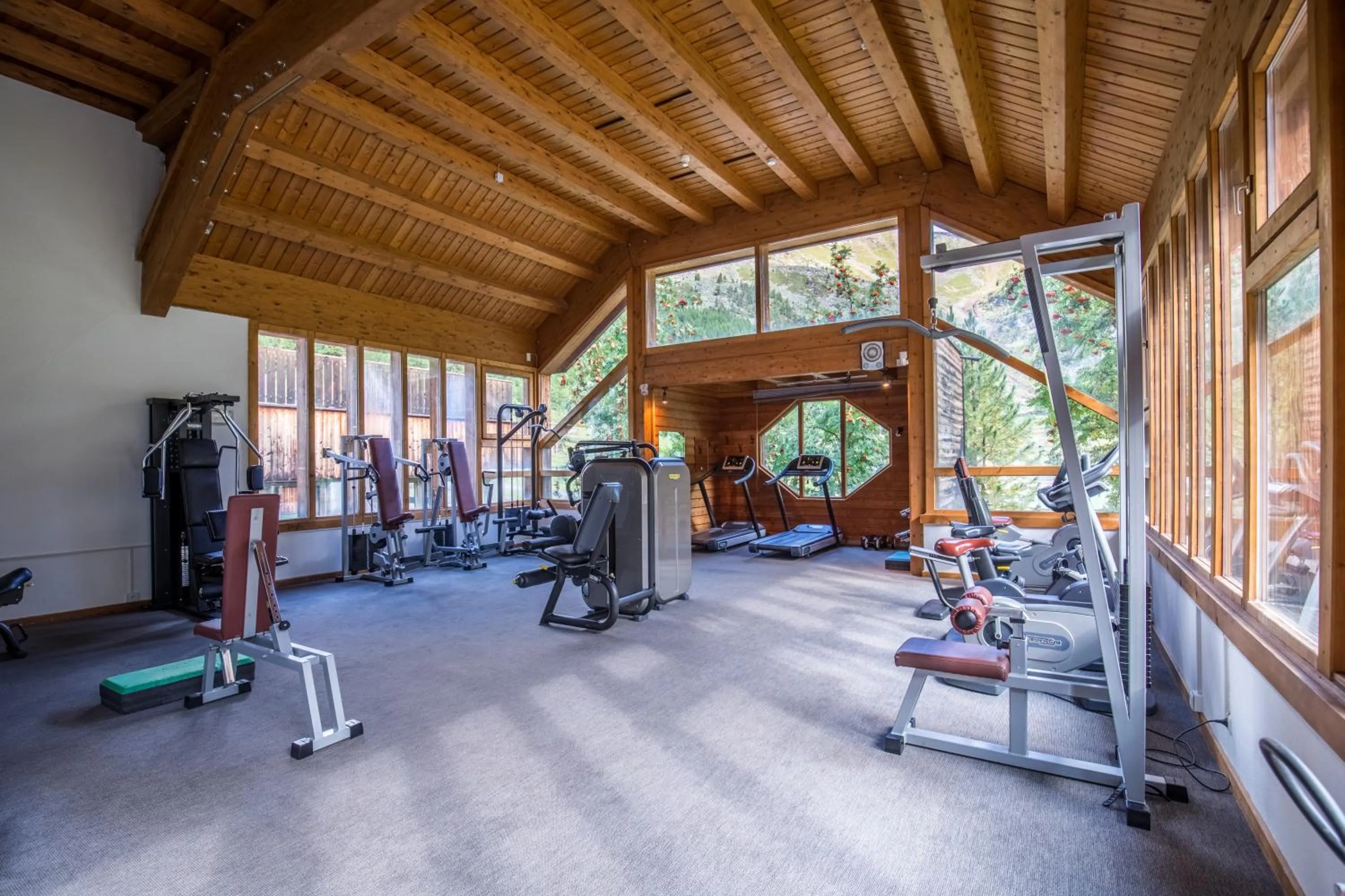 Fitness centre/facilities in Blu Hotel Senales Zirm-Cristal