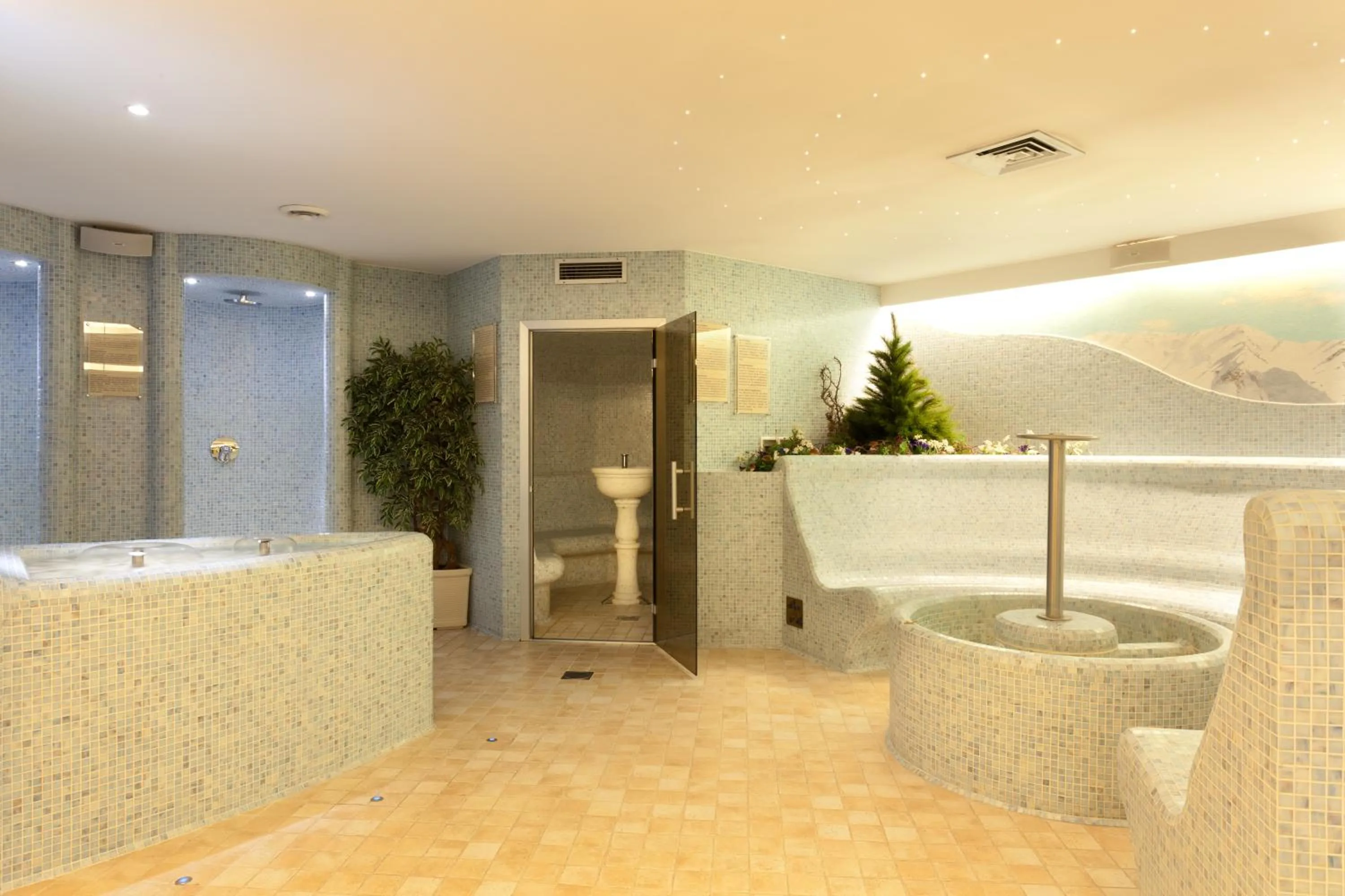 Steam room in Hotel Baita Montana