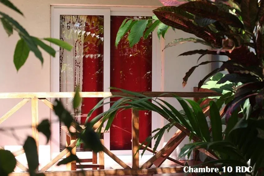 Garden in Chez Yolande