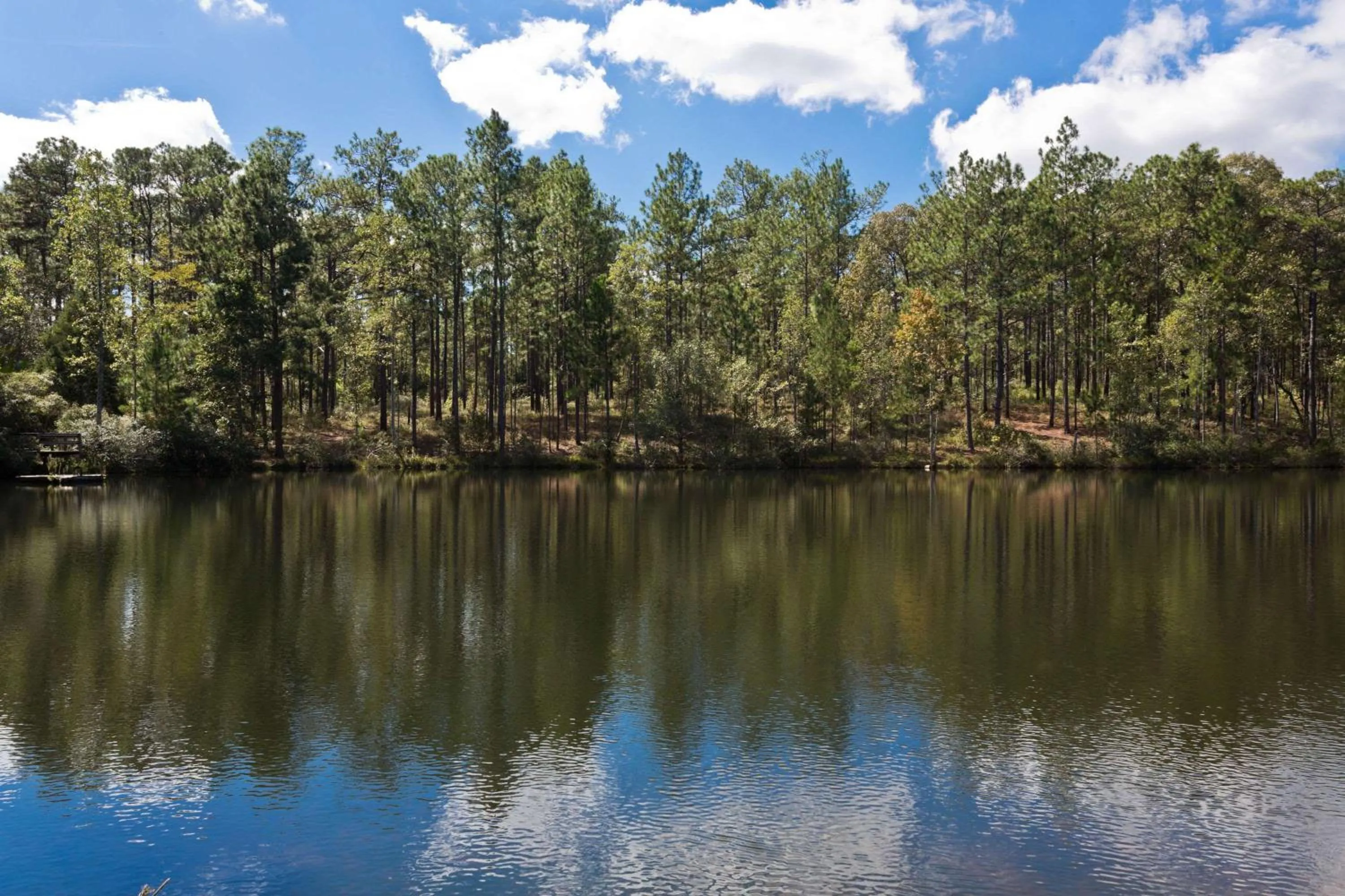 Other in Super 8 by Wyndham Chipley