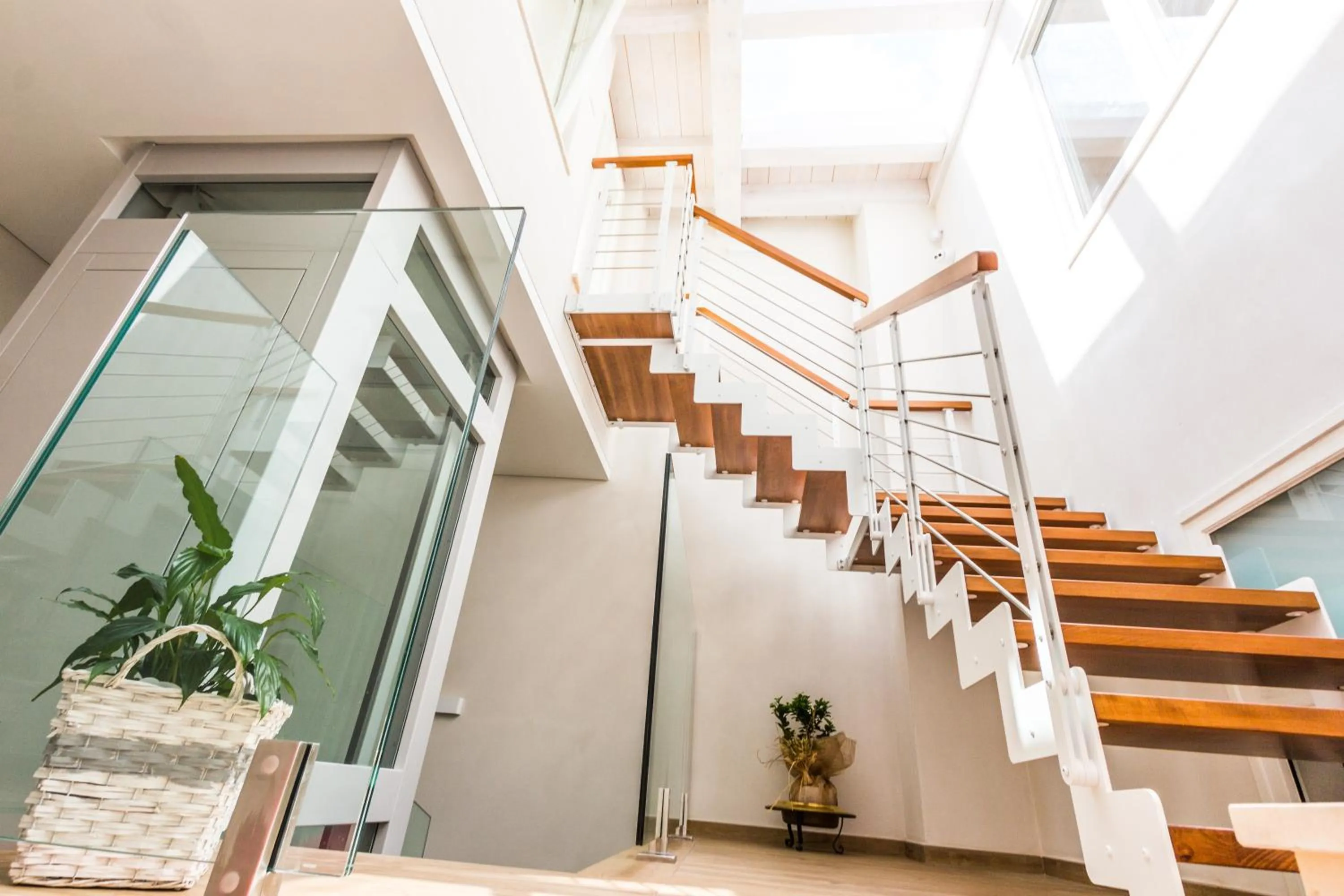 Area and facilities in Quarto Latino B&B