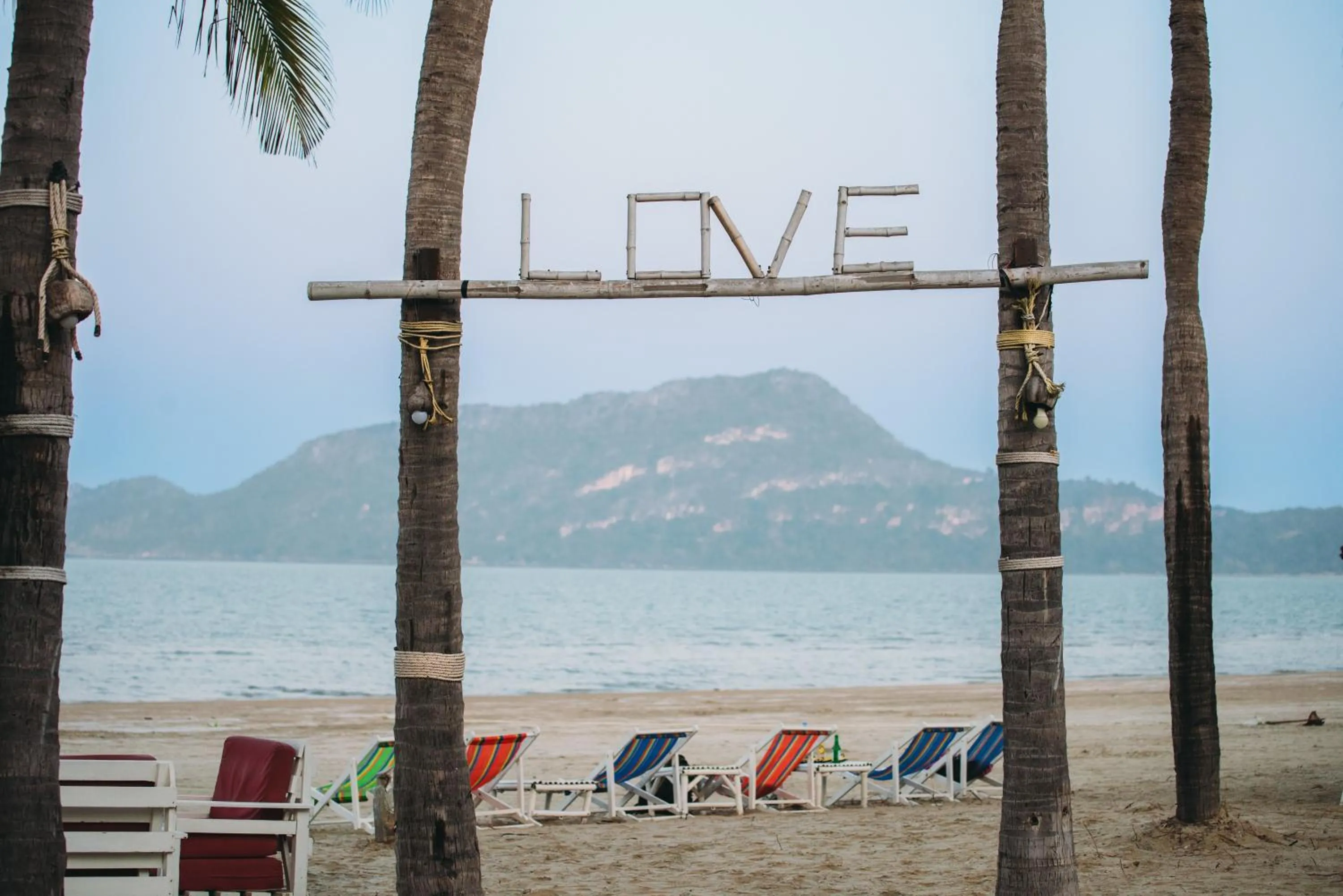 Natural landscape in Dolphin Bay Beach Resort