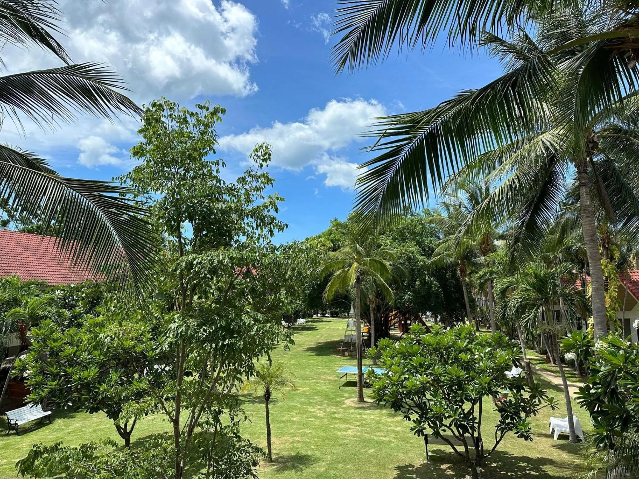 Garden view in Dolphin Bay Beach Resort