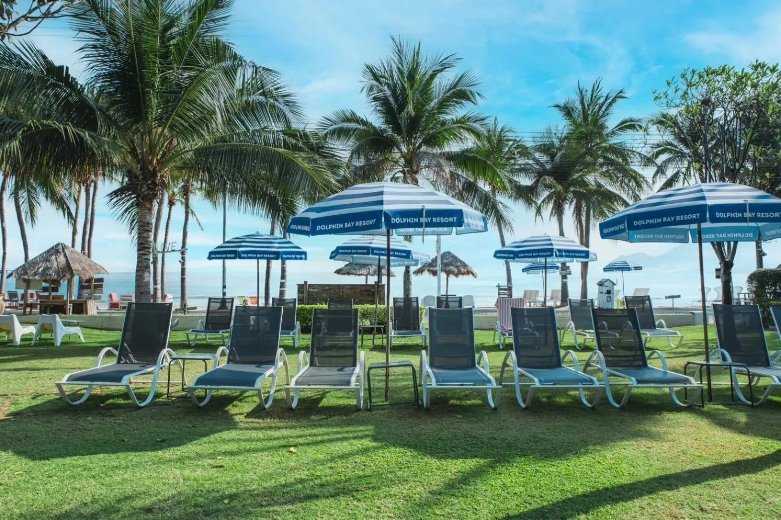 Garden view in Dolphin Bay Beach Resort