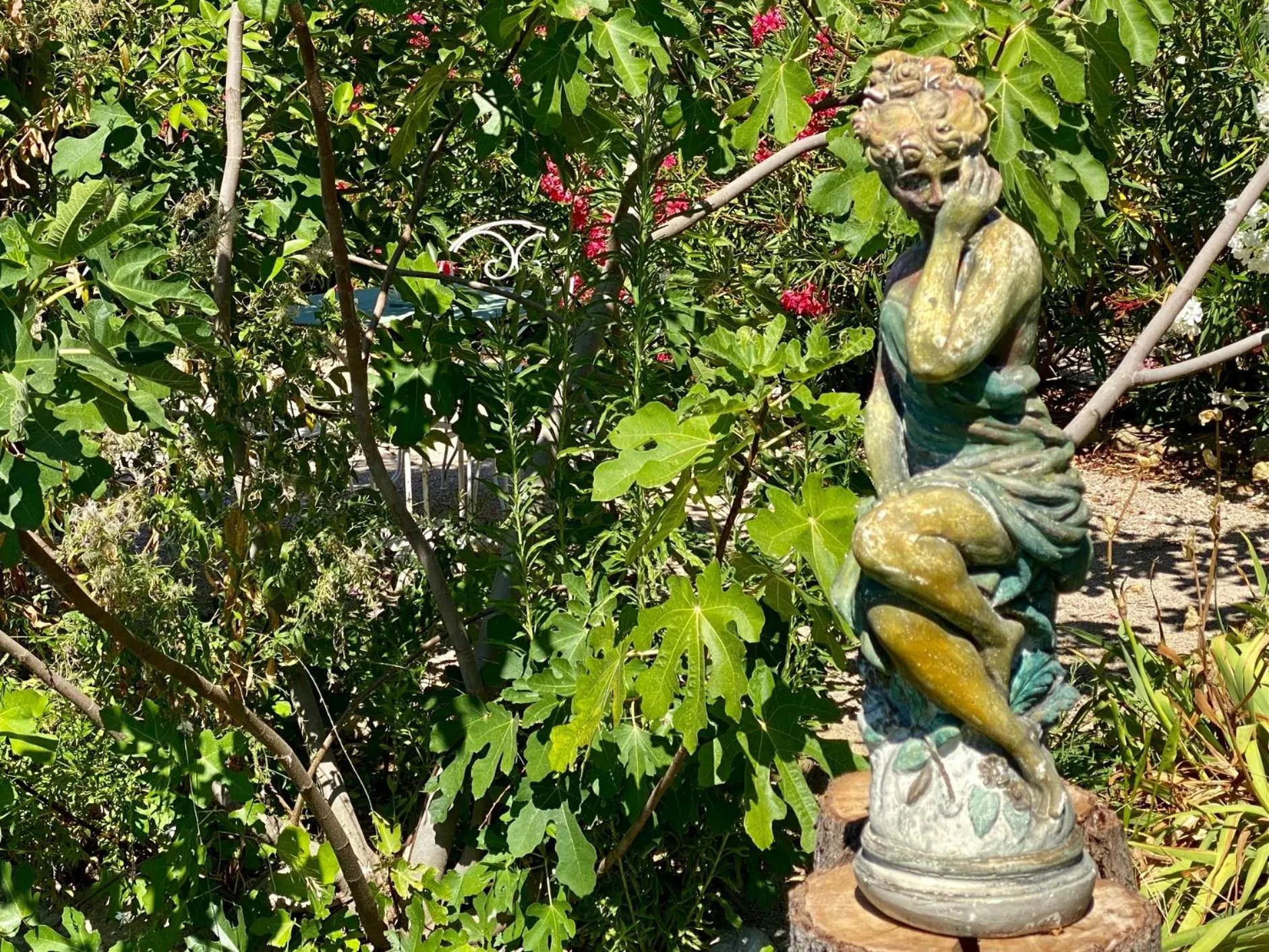 Garden in Mas des Olives