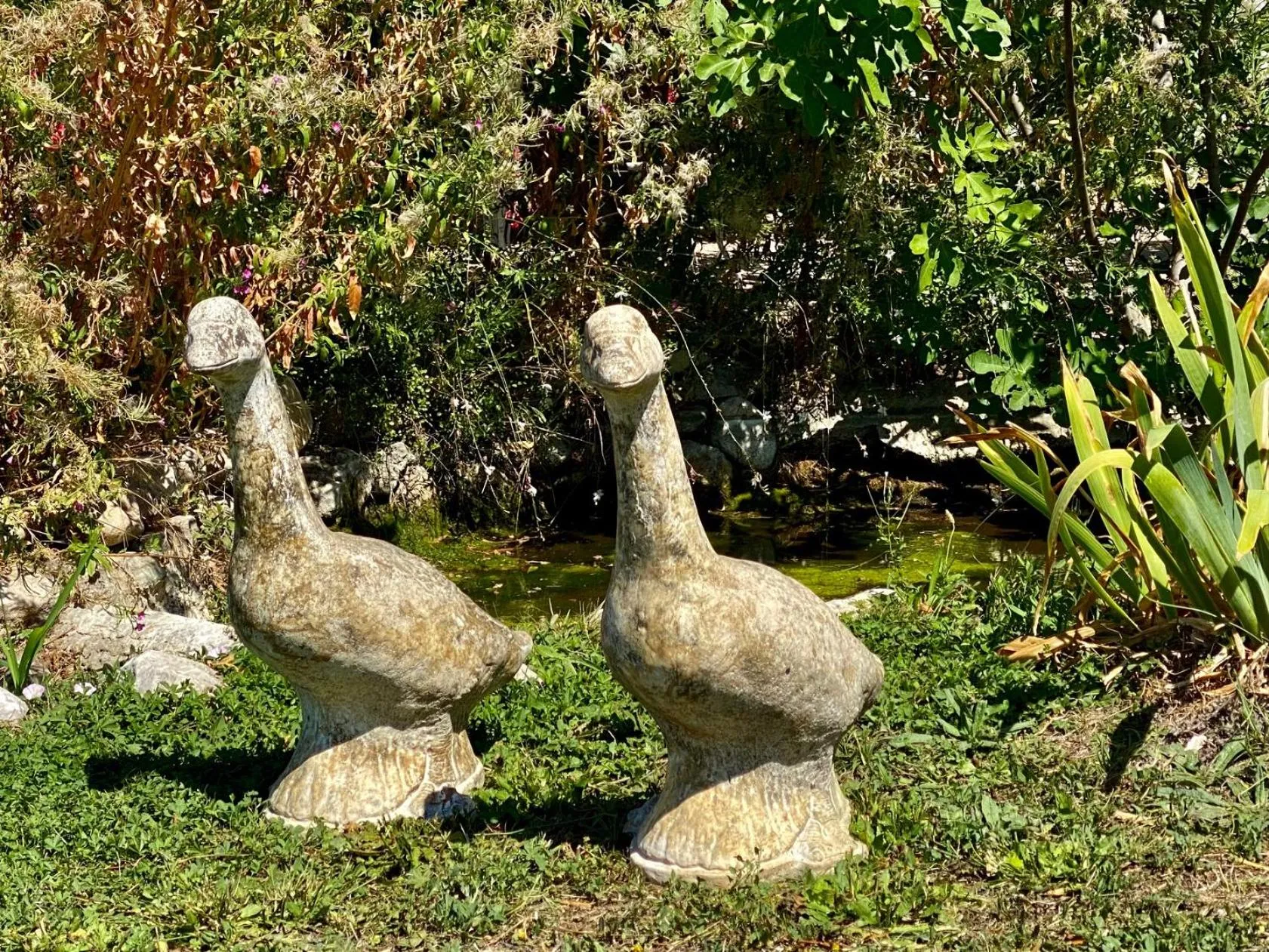 Garden in Mas des Olives