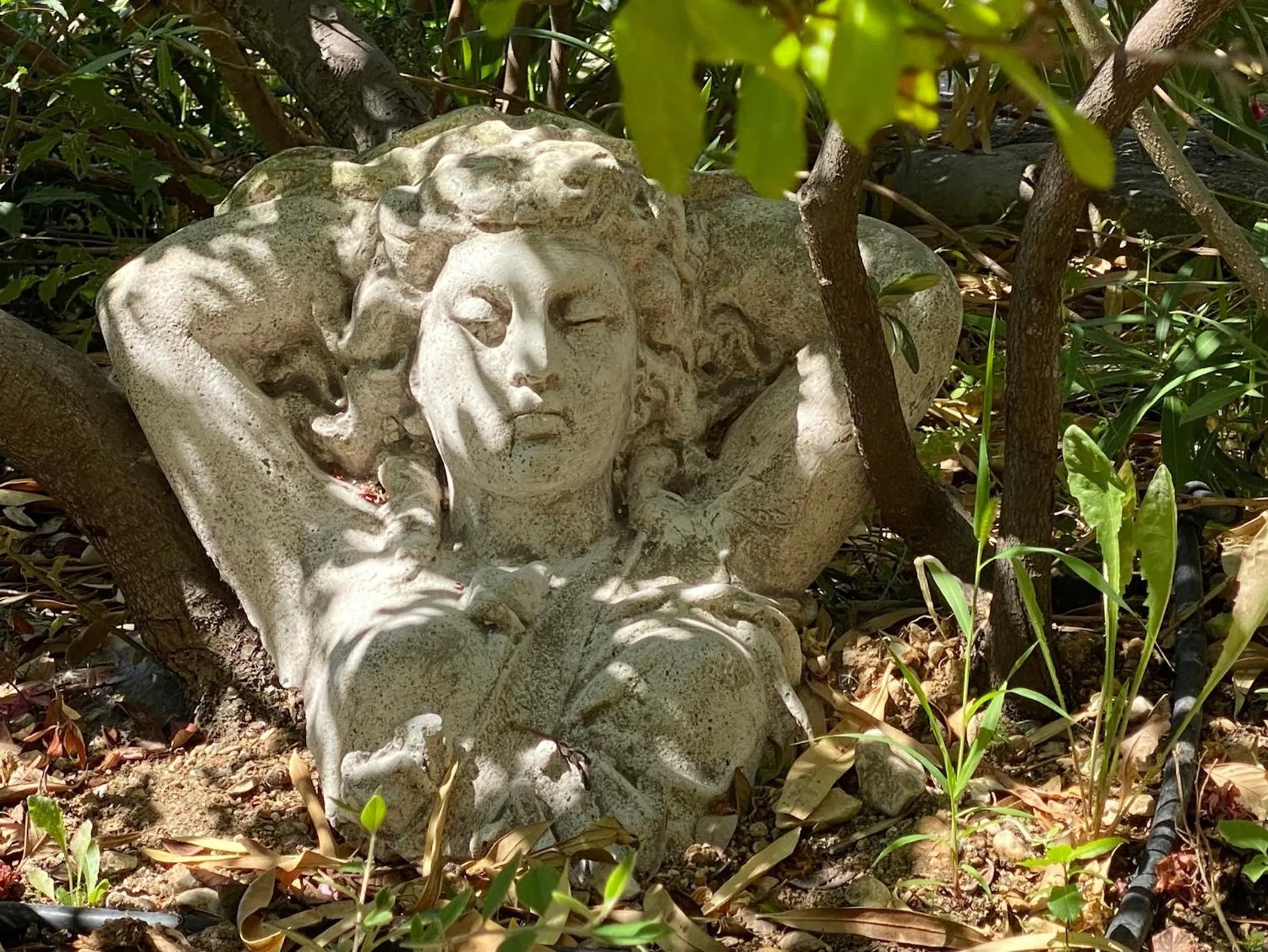 Garden in Mas des Olives