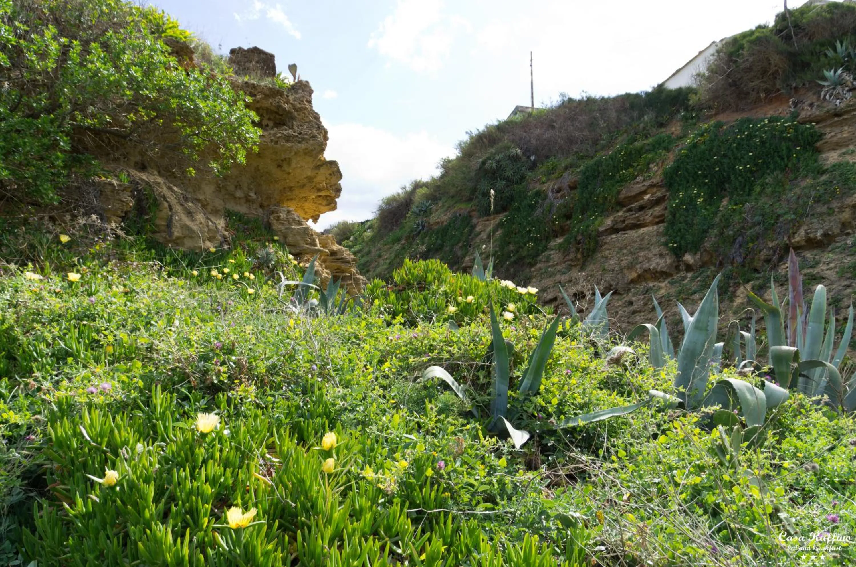 Day in B&B Casa Ruffino