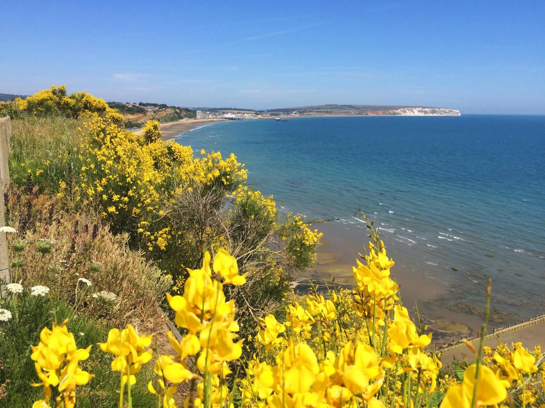 Natural landscape in Haven Hall Hotel