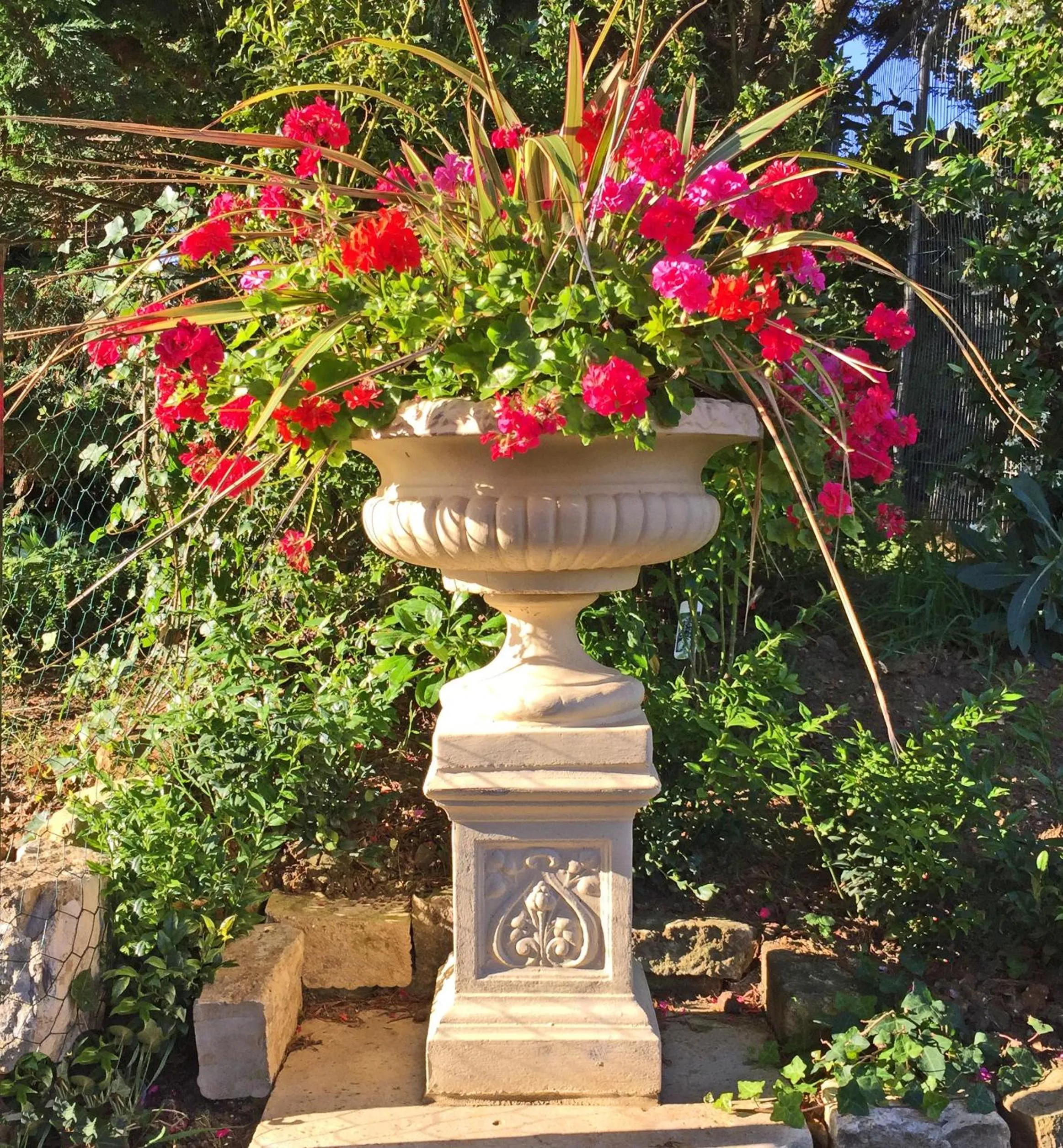Garden in Haven Hall Hotel