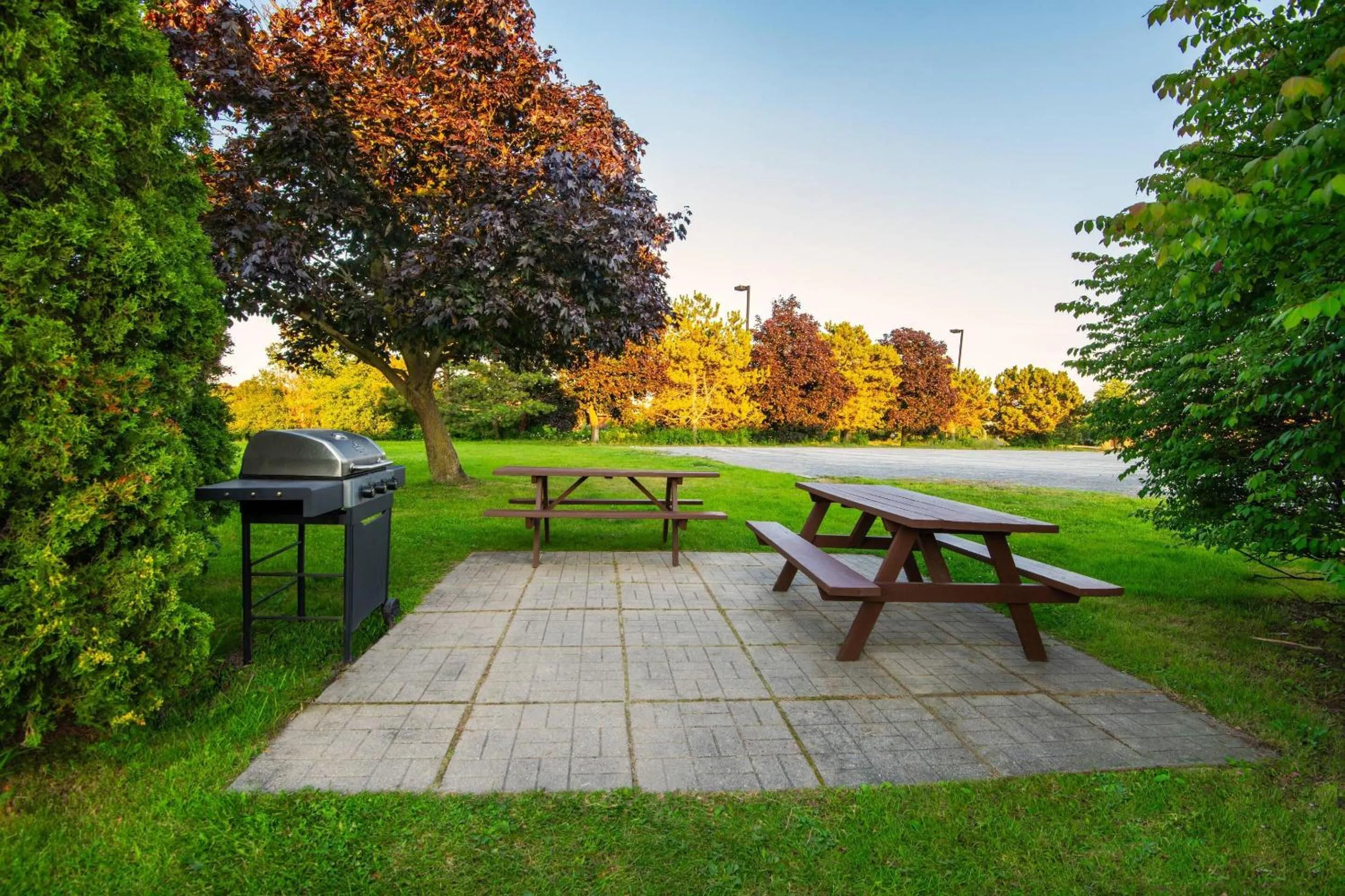 Other in Comfort Inn Hwy 401