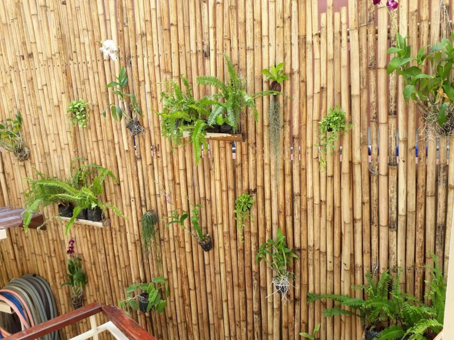 Other in Mama Beach Residence - Adults Only