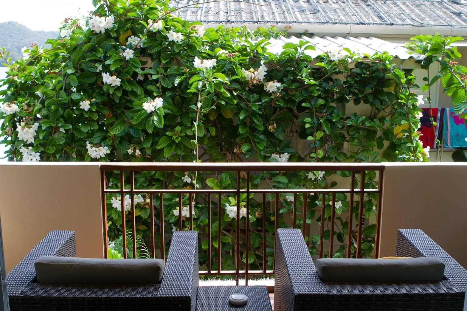 Balcony/Terrace in Mama Beach Residence - Adults Only