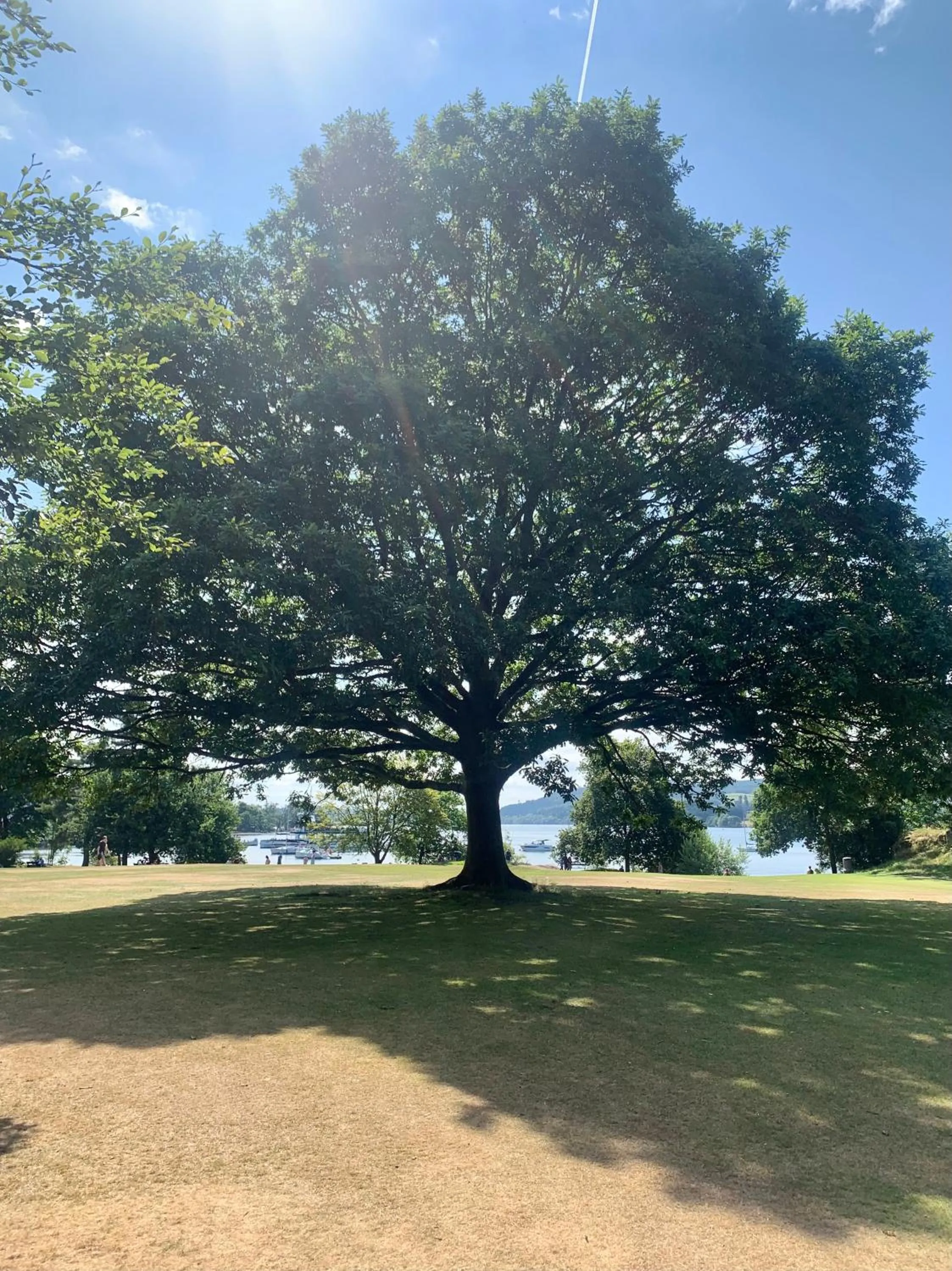 Natural landscape in Hillsdale B&B in Ambleside