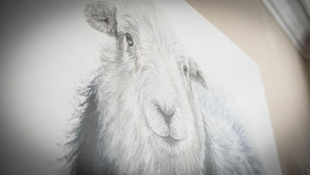 Decorative detail in Hillsdale B&B in Ambleside