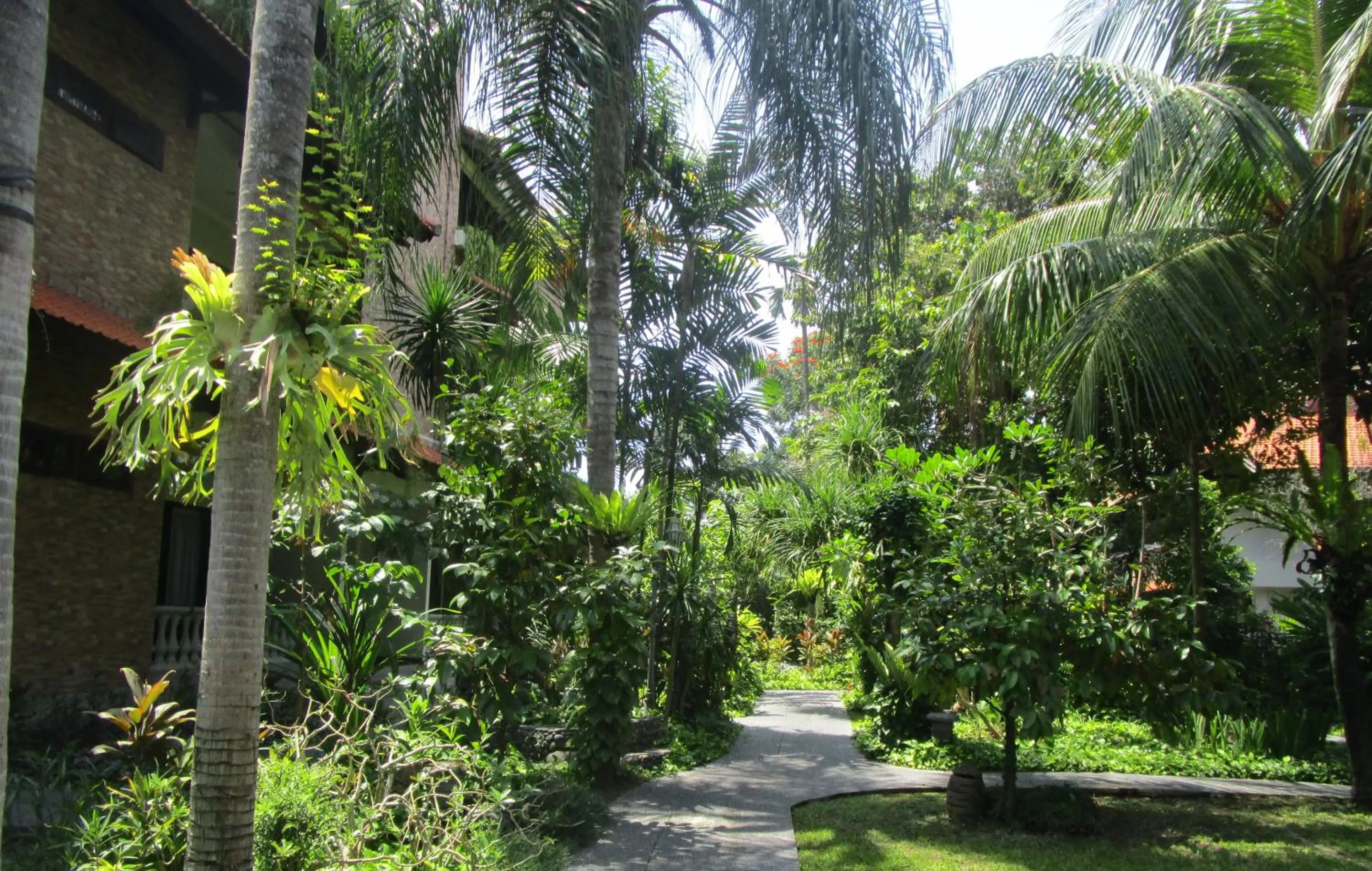 Garden in The Taman Ayu
