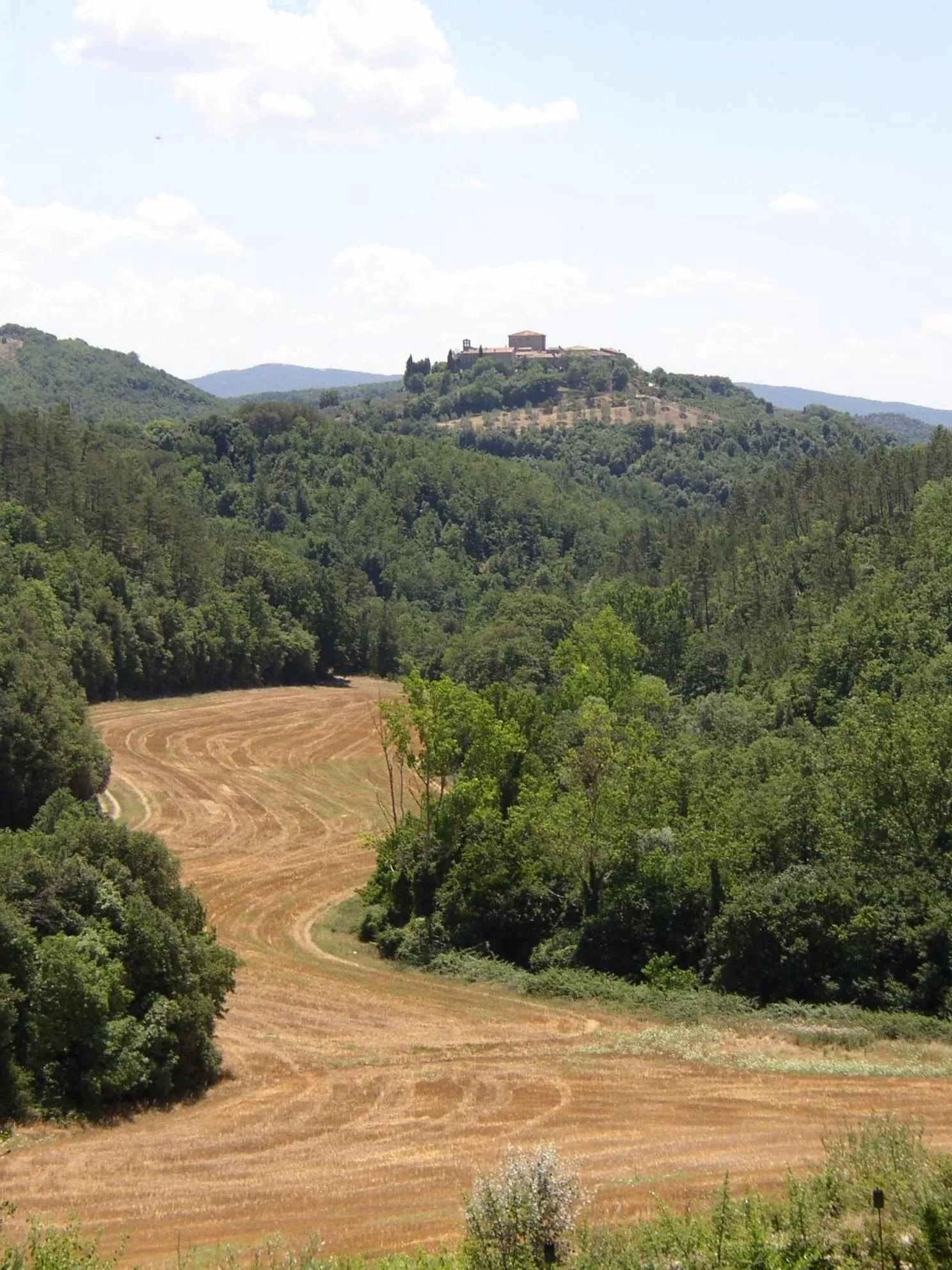 Landmark view in Bosco Della Spina