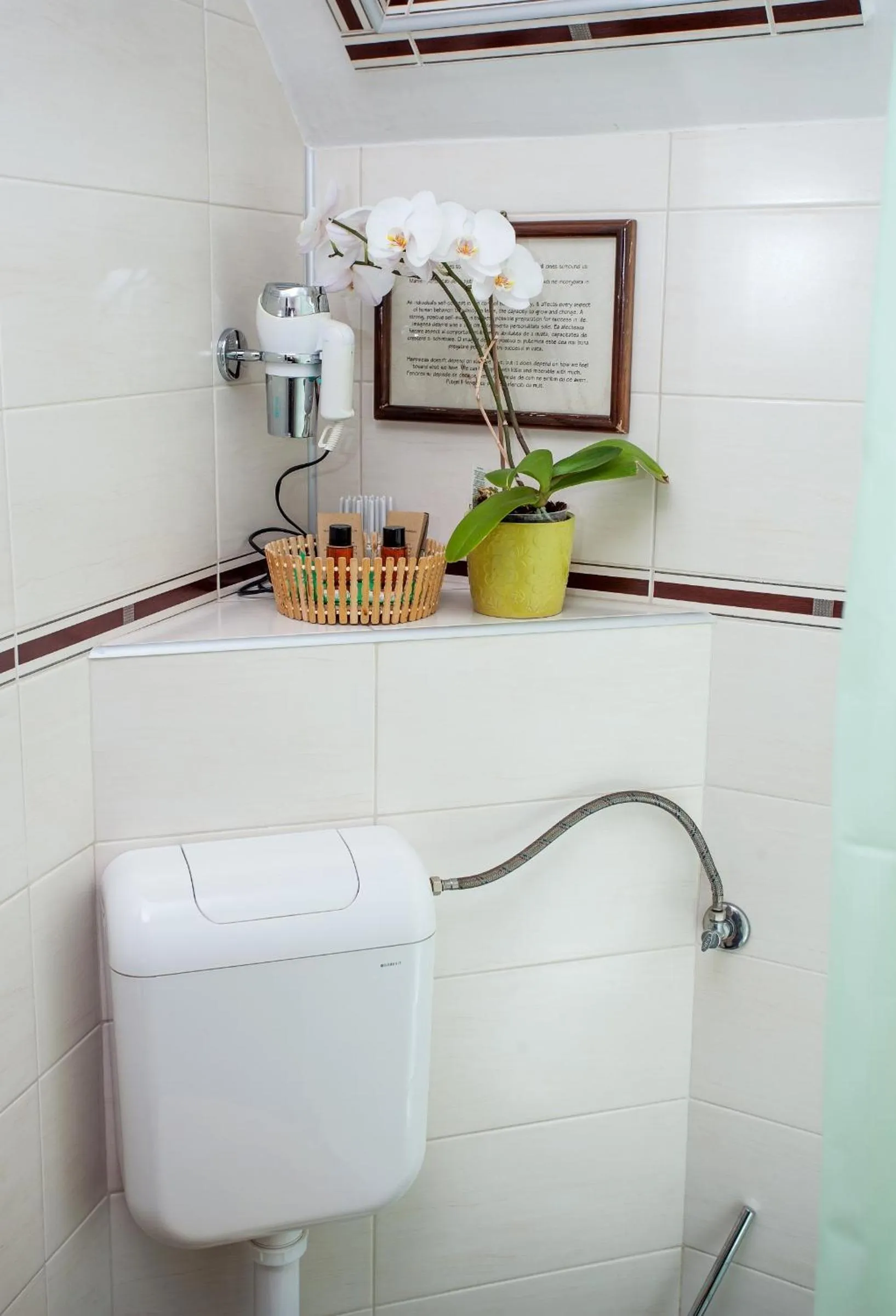 Bathroom in Pension Brasovu Vechi