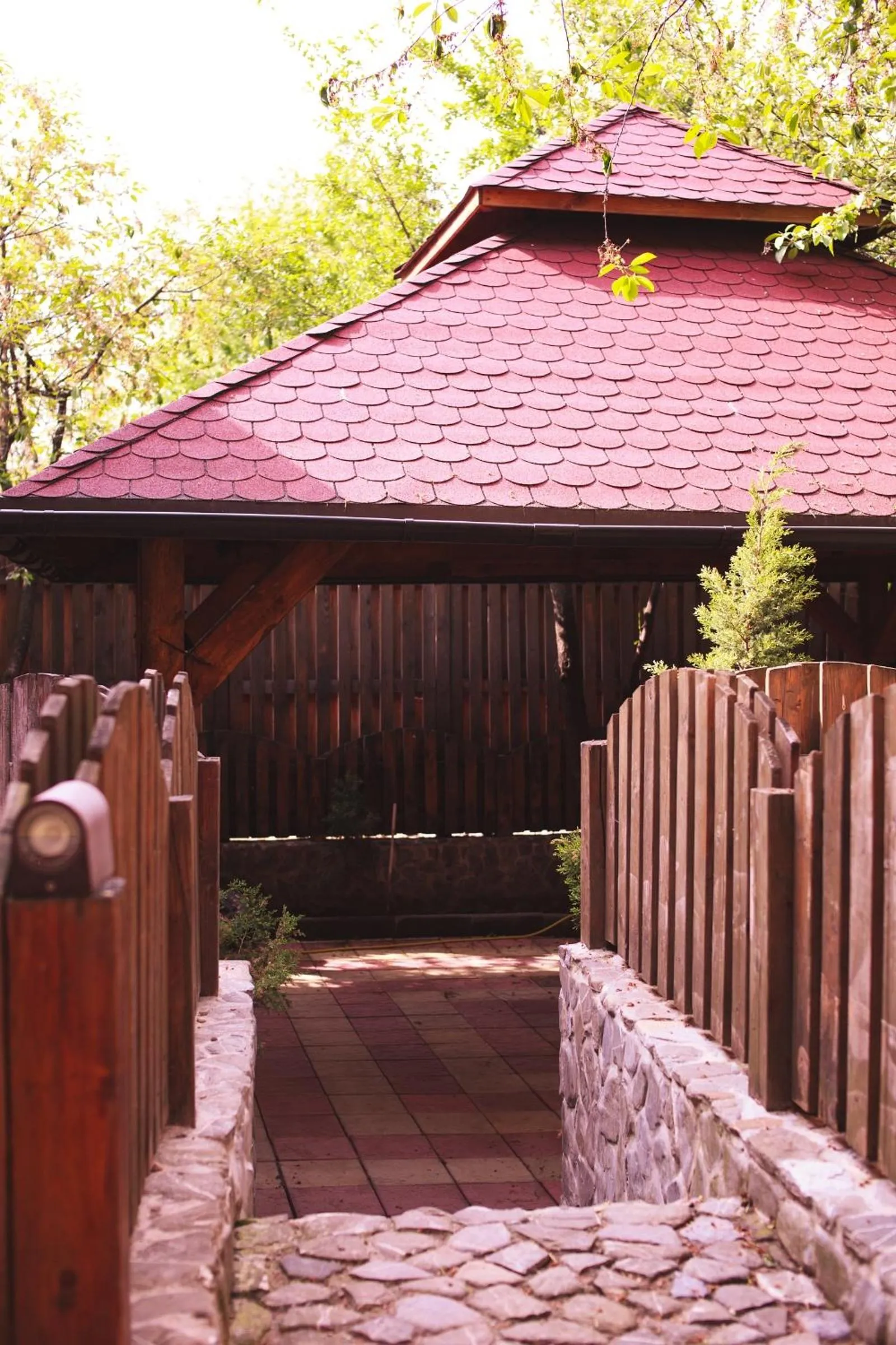 Other in Pension Brasovu Vechi