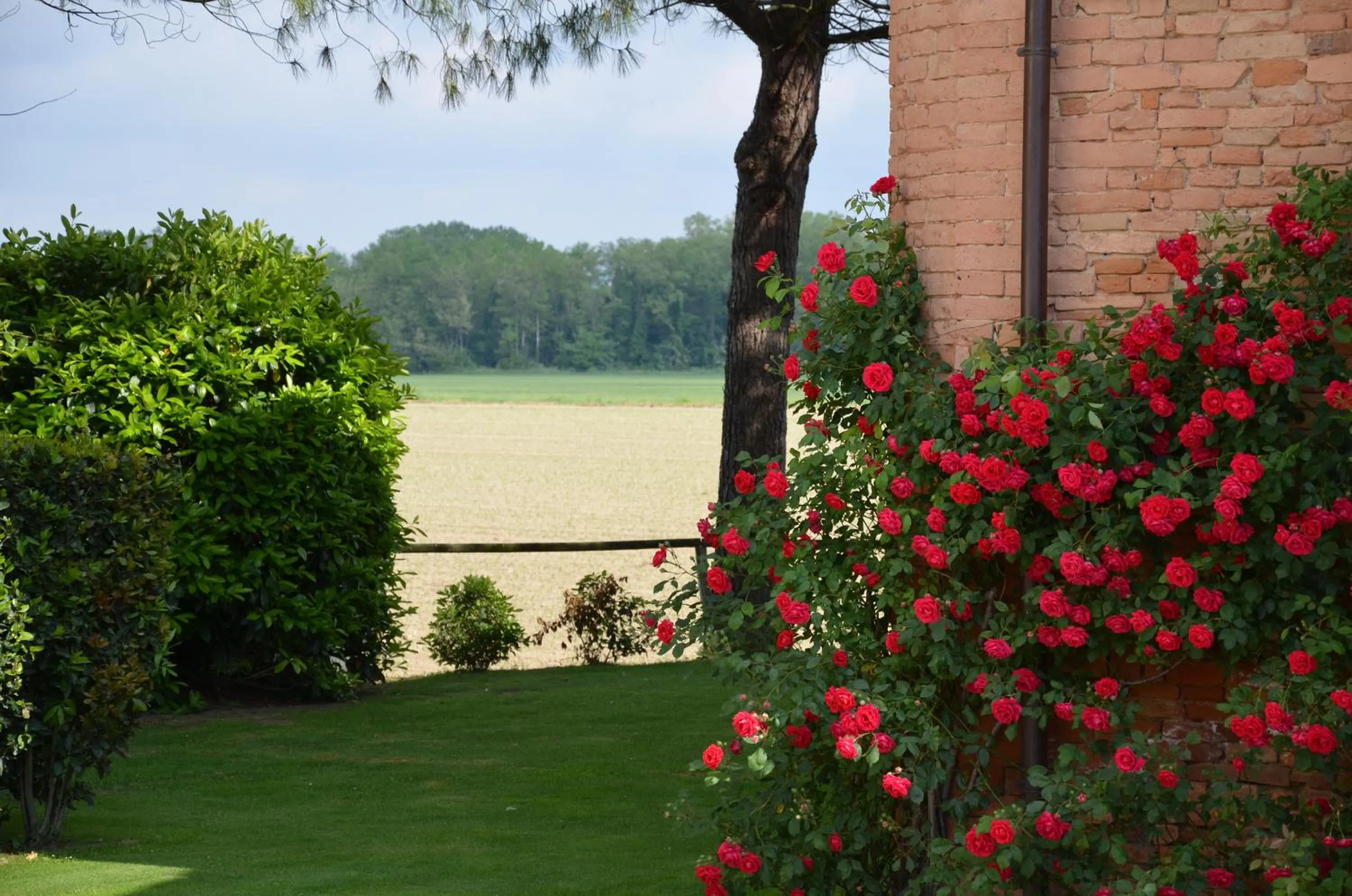Garden in Country House Le Case Coloniche