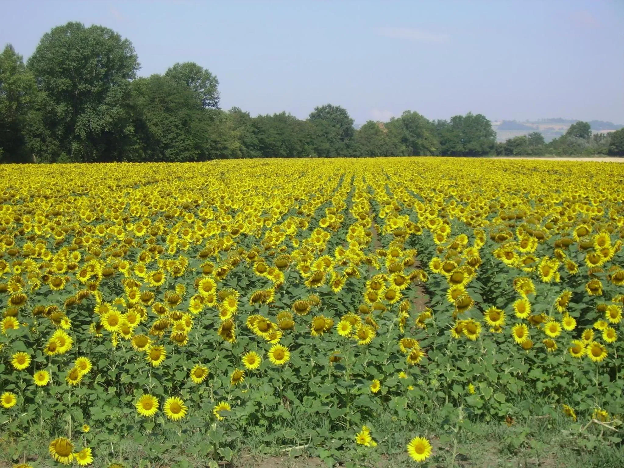 View (from property/room) in Country House Le Case Coloniche