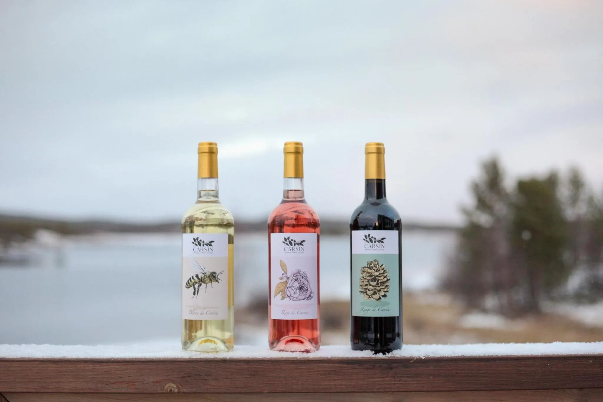 Food and drinks in Hotel Inari