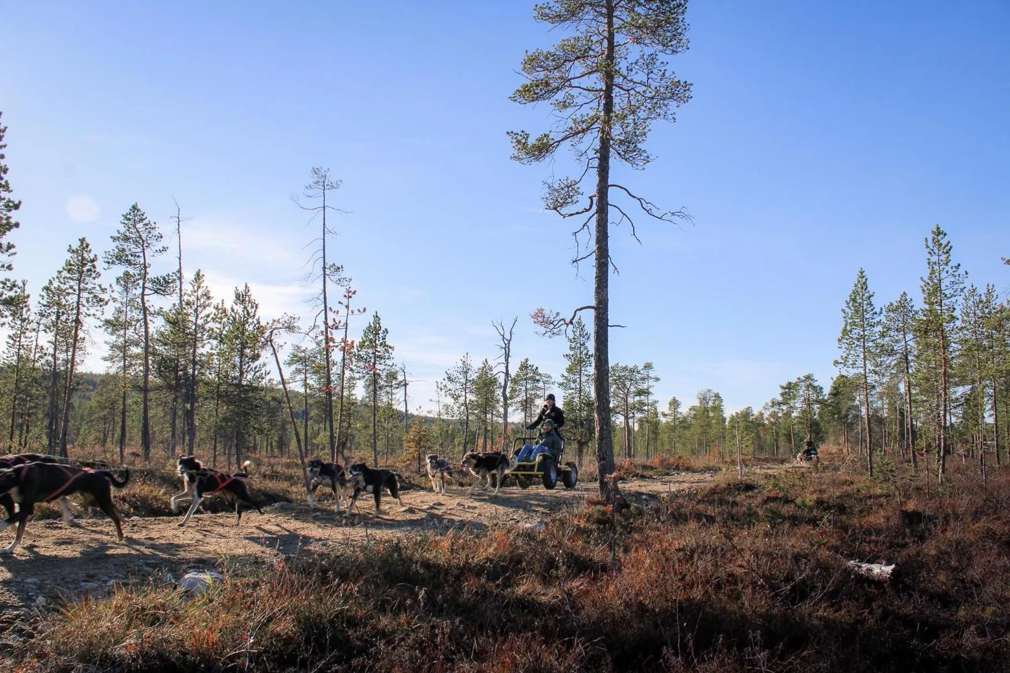 Natural landscape in Hotel Inari